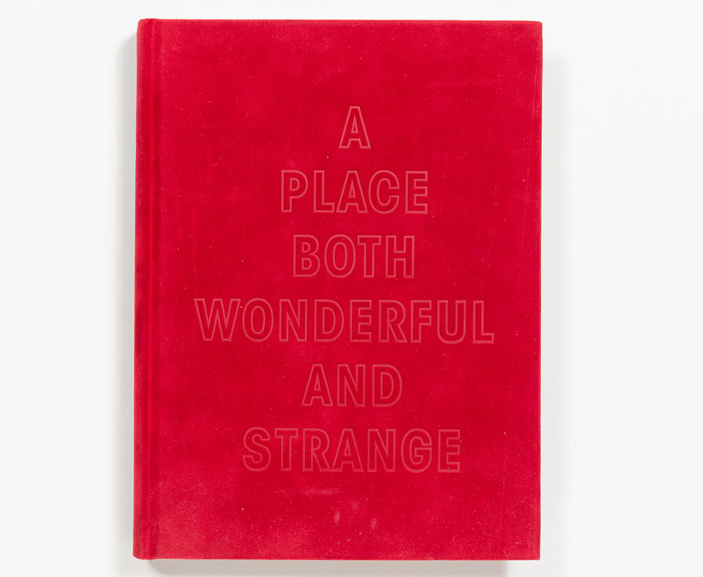 a_place_both_wonderful_and_strange_cover.jpg