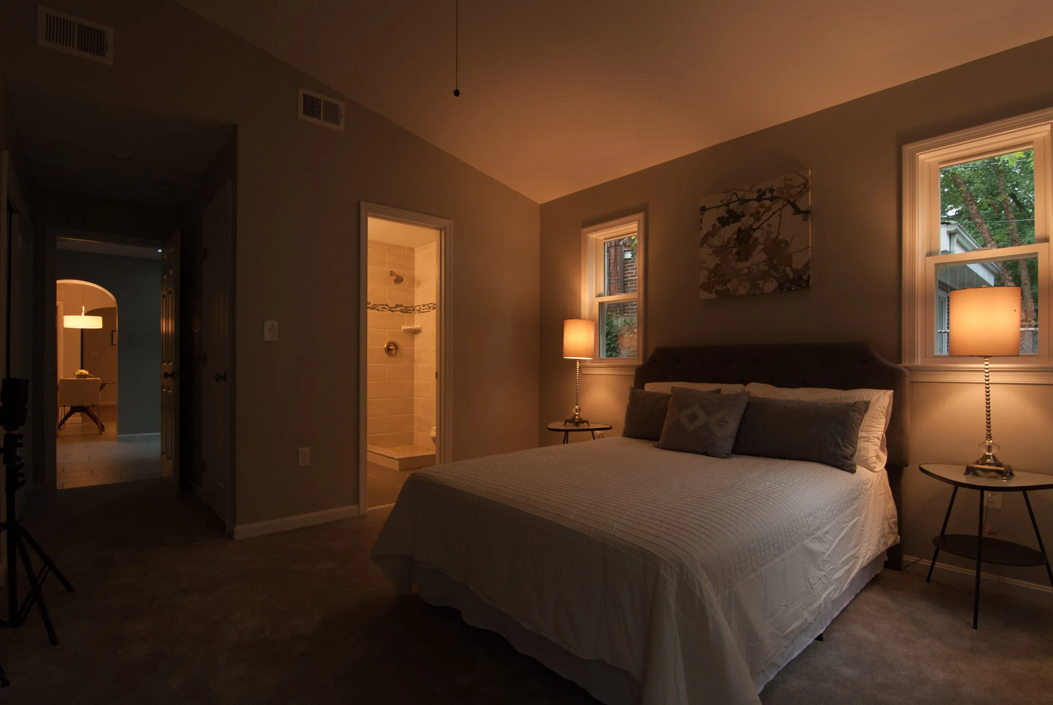 The ambient-light exposure of the above photo.
