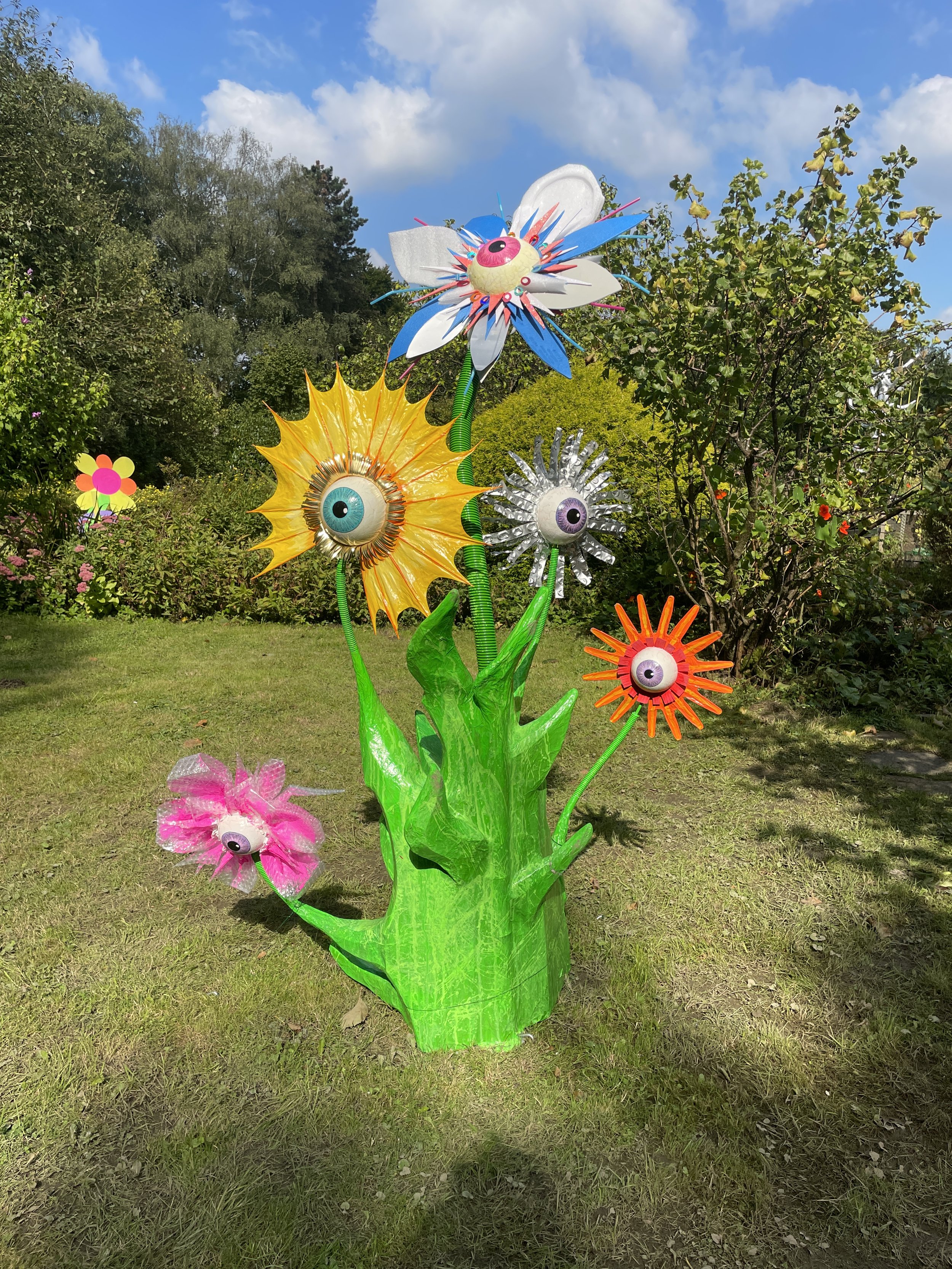 die Augenblume