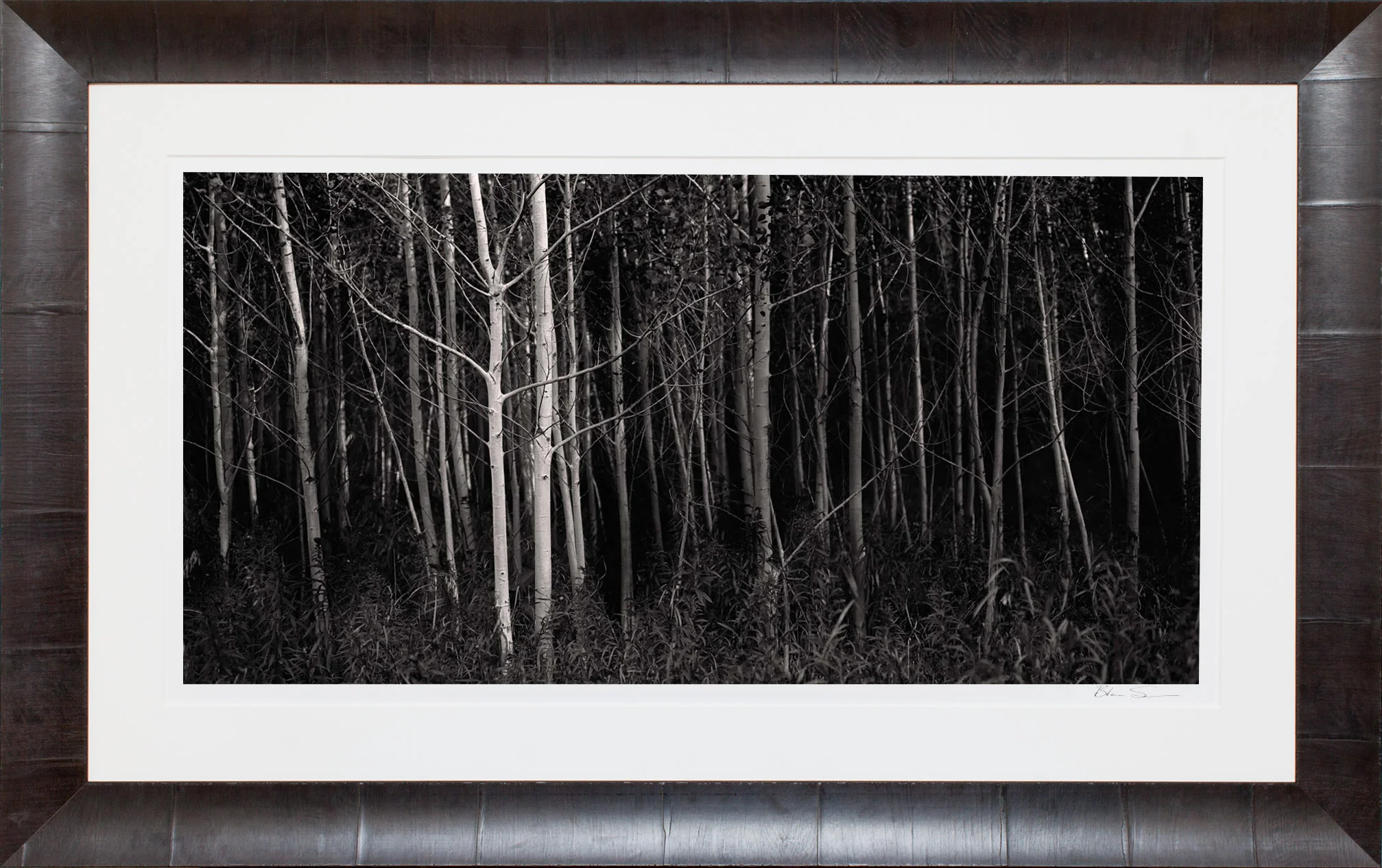 Leland Birch - Framed