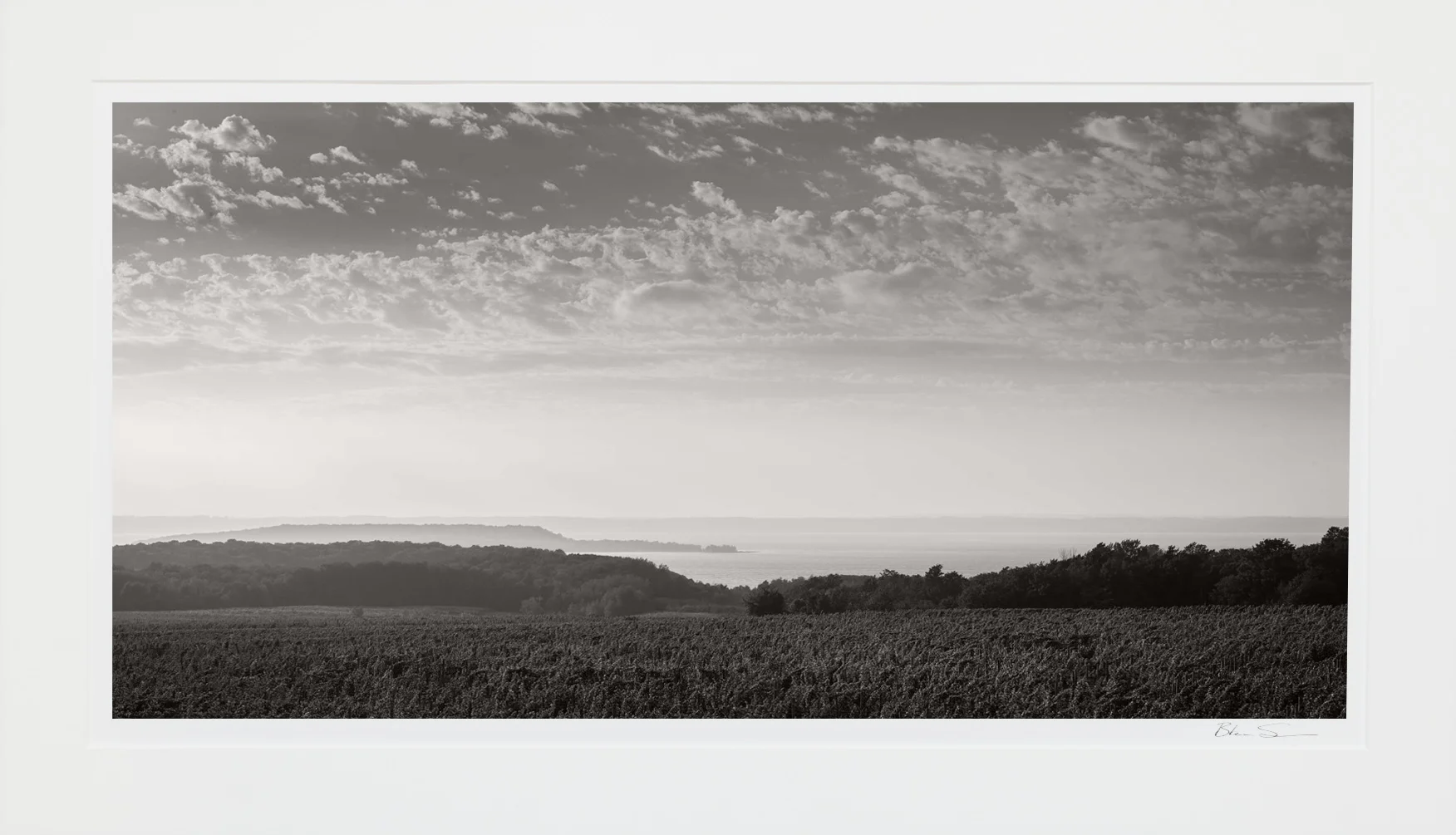 West Traverse Bay - Matted
