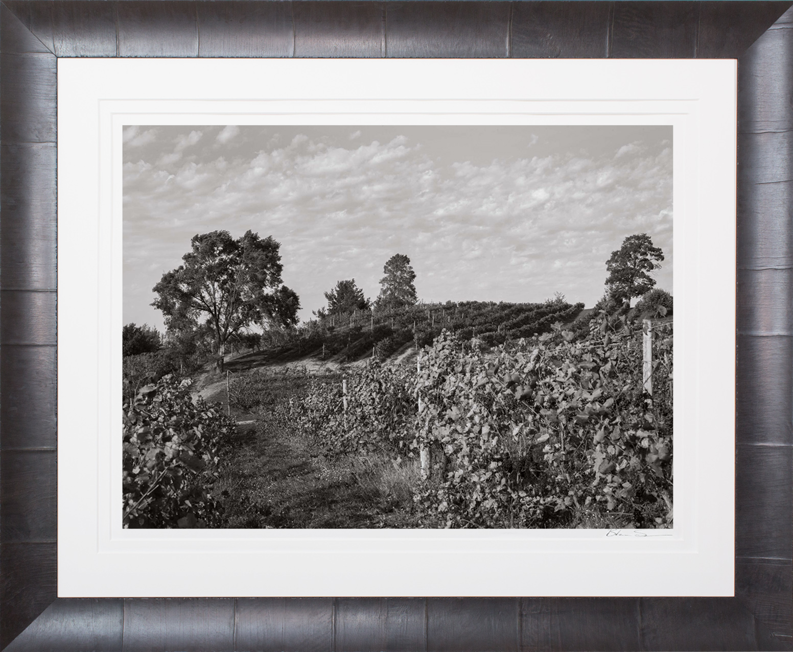 Late Harvest - Framed