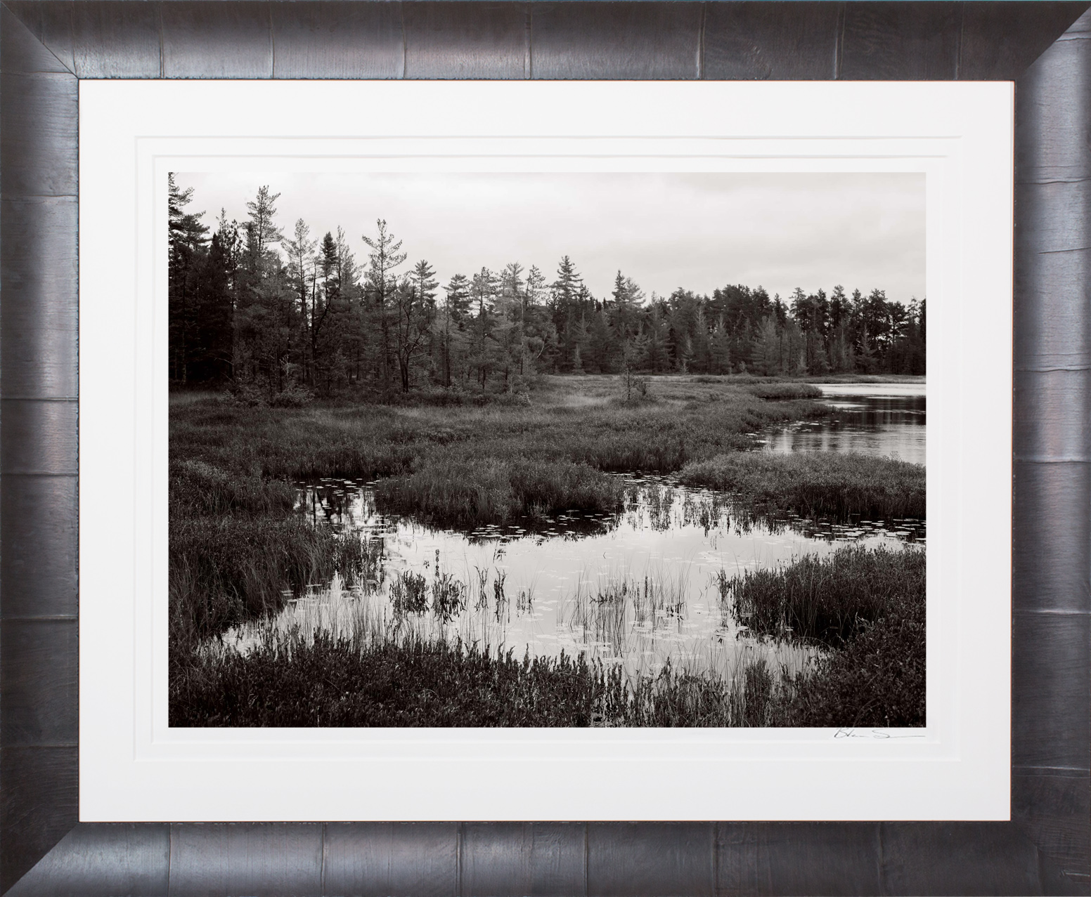 Bog - Framed
