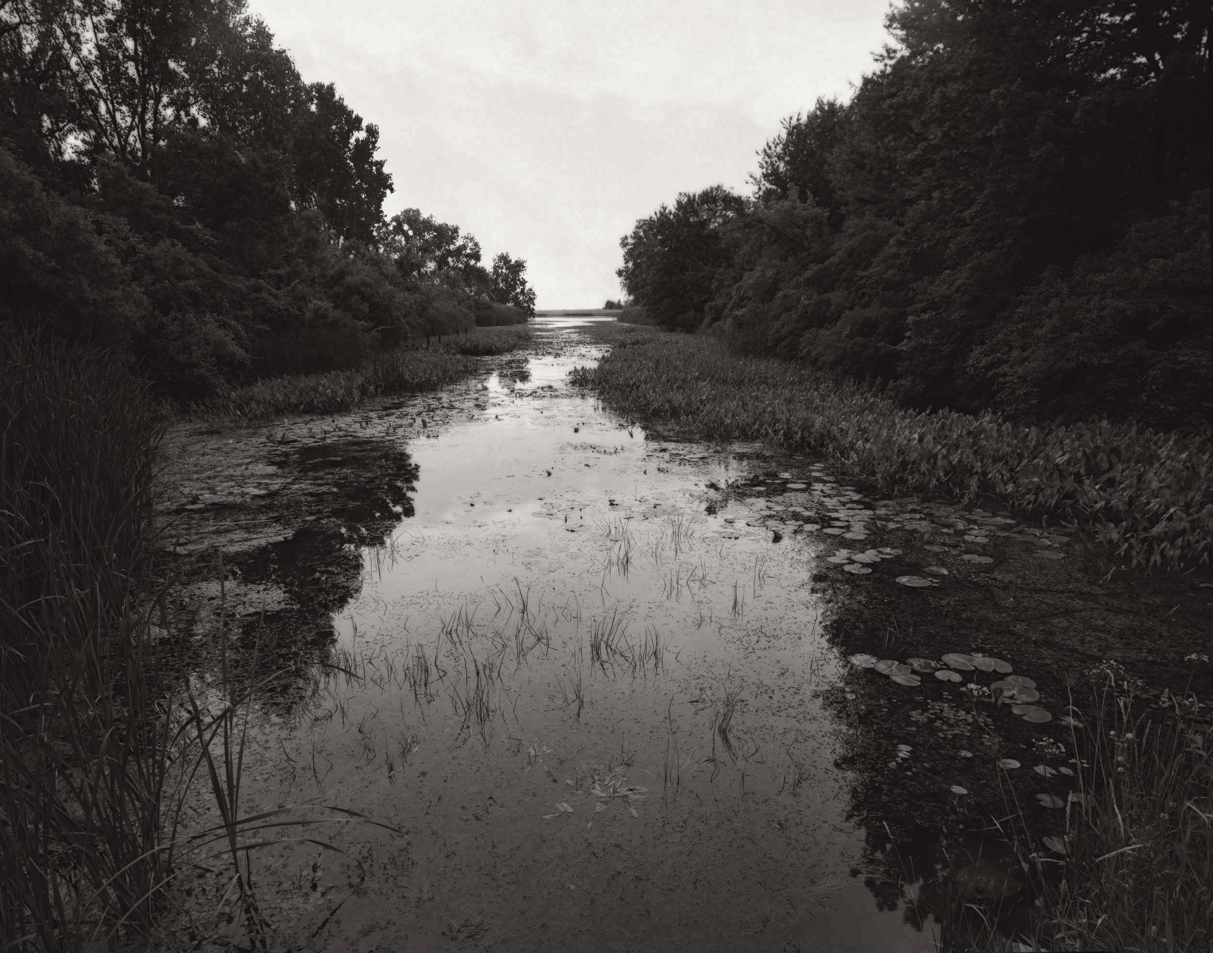 Rockwood - Michigan Landscape Photography. All over southern Michigan there exist beautiful hardwood forests and idyllic lily ponds; this view shows off both in a Monet-worthy patch of Michigan.