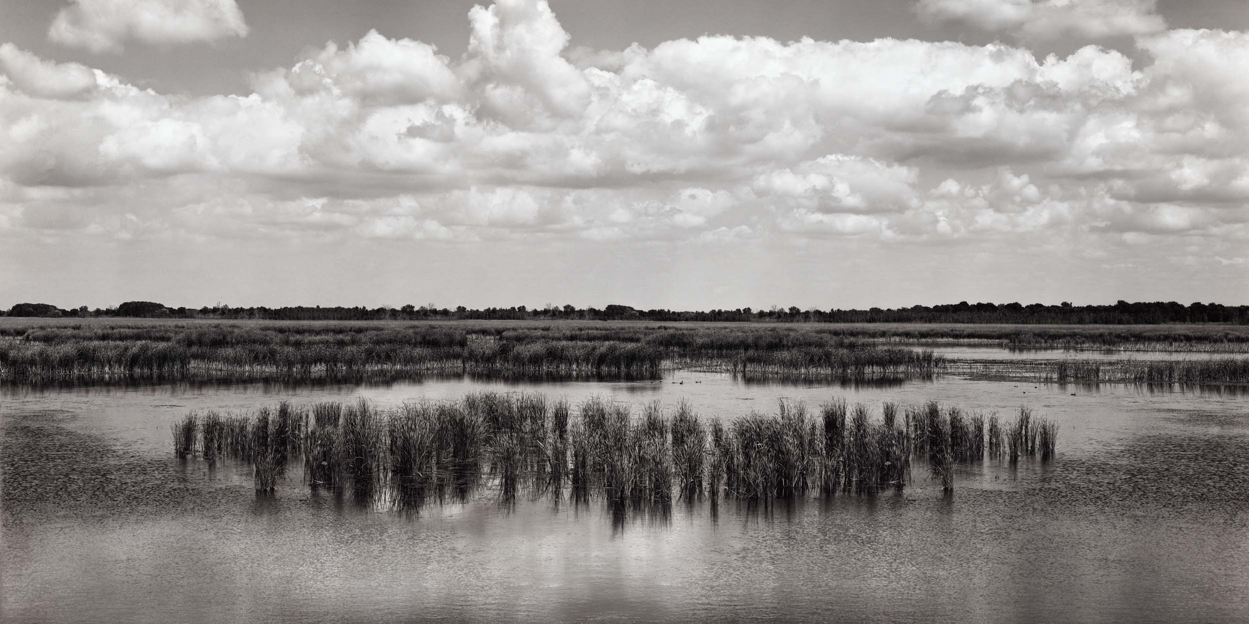 The Refuge. Pointe Mouillee State Game Area.  One of my favorites spots in southeast Michigan. This little preserve is great for bird watching and escaping the crowd. Michigan Landscape Photography.