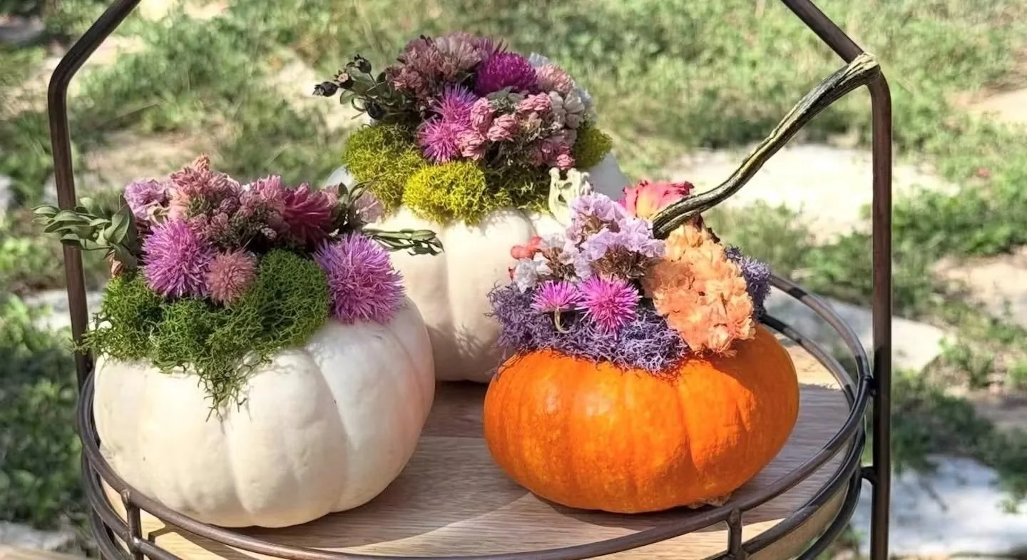 Autumn Pumpkin Floral Workshop at UROKO in Springdale General