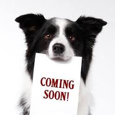 Danielle Pittman Bio Coming soon