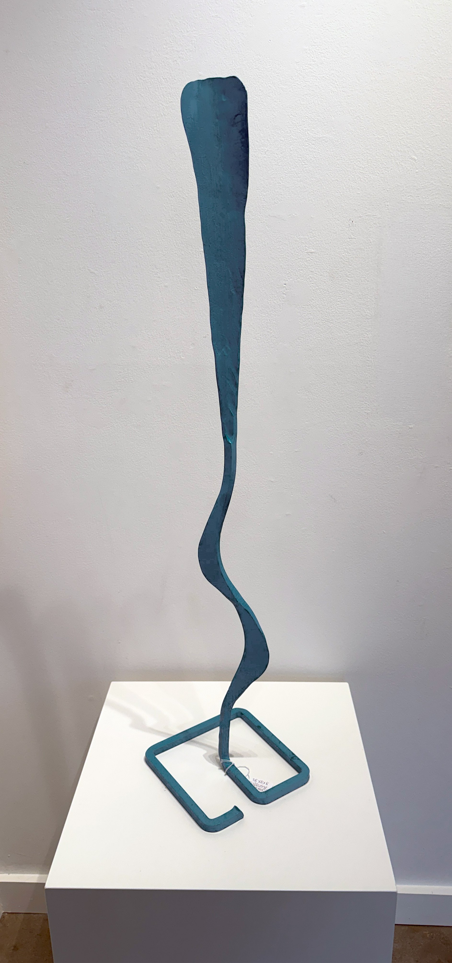 TurquoiseFeatherMesaBloom.jpg