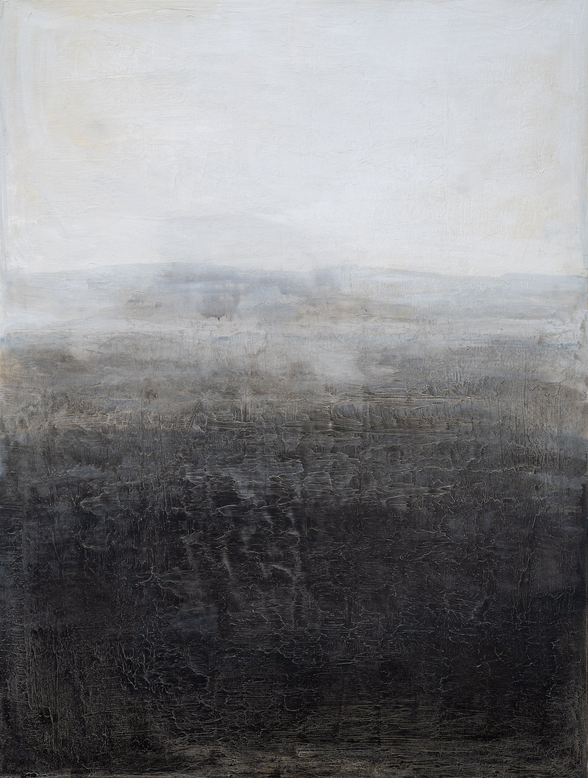 MonochromeReverie63x48.jpg