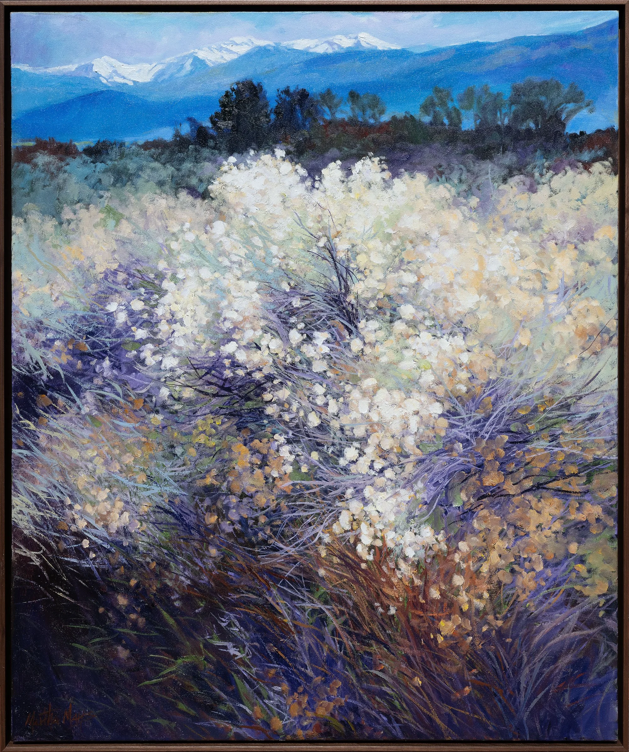 ChamisainWhiteTaos.jpg