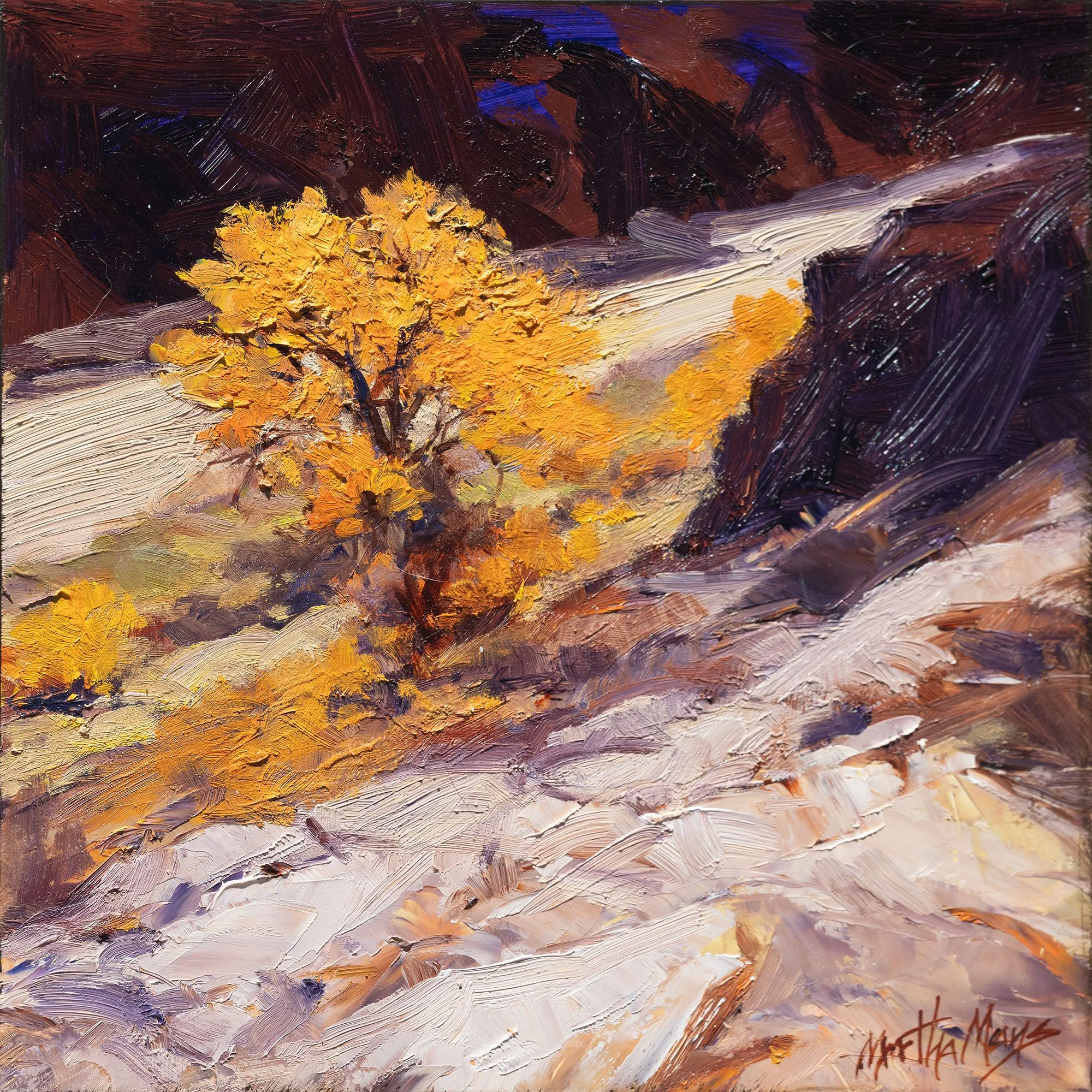 ChamaRiverCottonwood.jpg