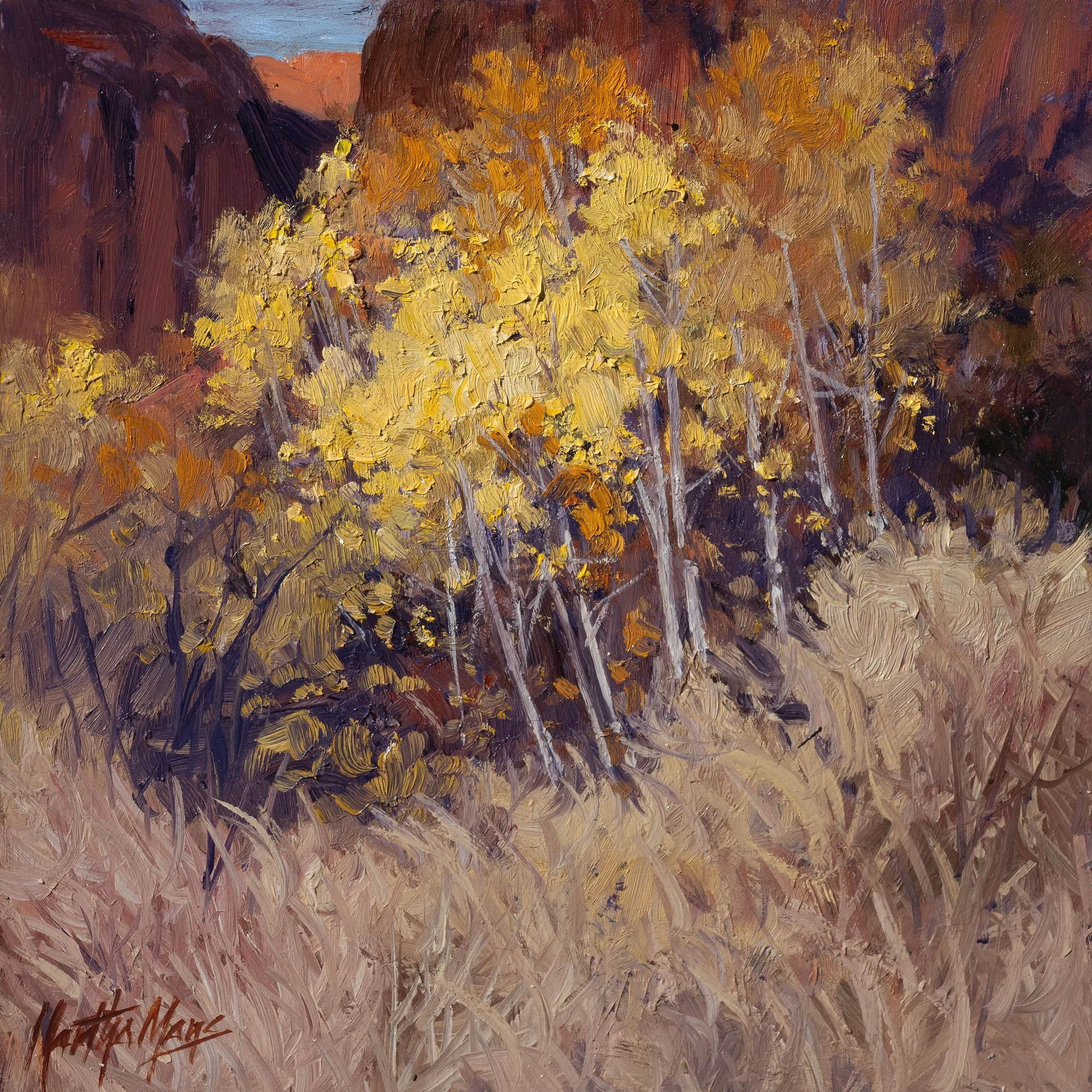 CanyonTrees12x12.jpg