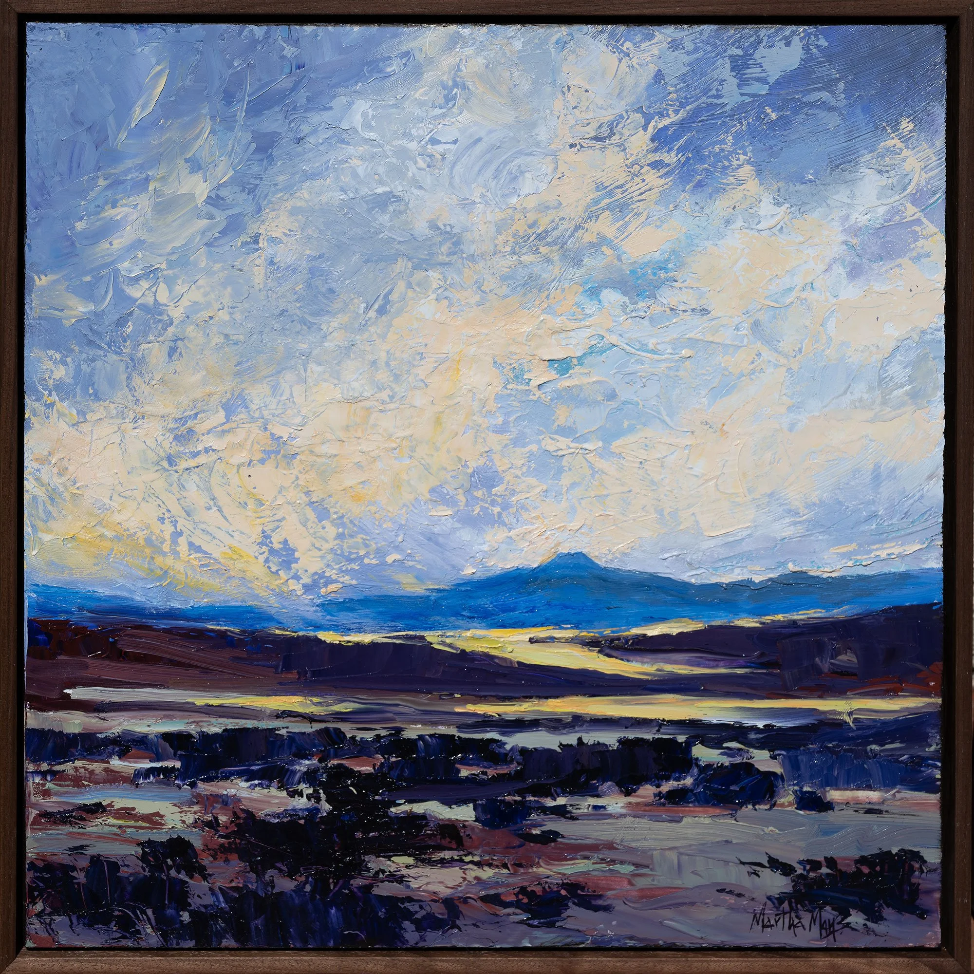 aprilskypedernal_17x17framed.jpg