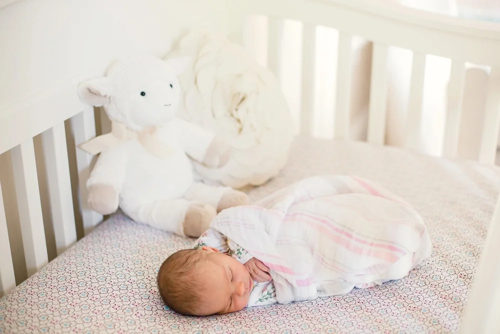 Cleveland Heights Ohio Newborn Photographer_0001.jpg