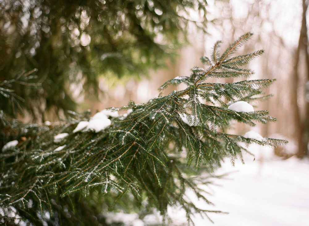 Penfield House Cleveland Engagement Photos_0008.jpg