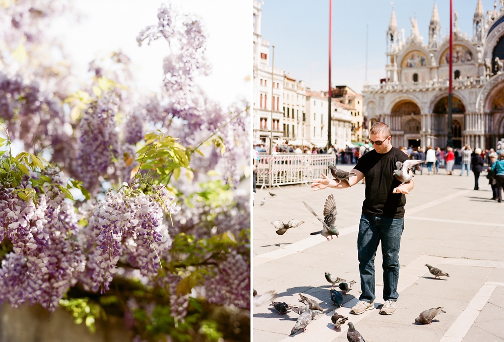 Birds at Piazza San Marco Venice
