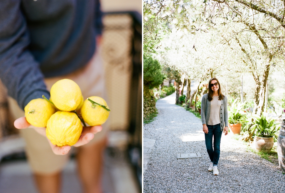 Cinque Terre Lemon Grove