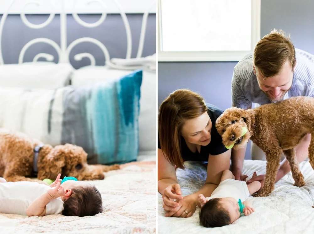 In Home Lifestyle Family Photos