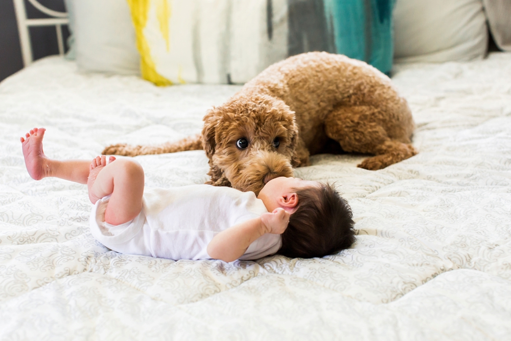 Akron Ohio Baby Session