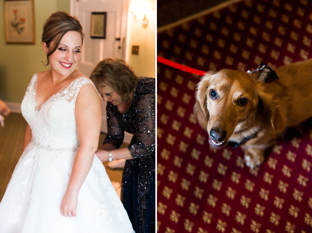 Bride and Dog Wedding Photos