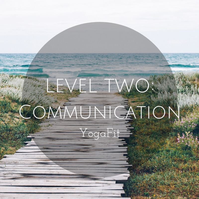 LEVEL TWO_ Communication.png