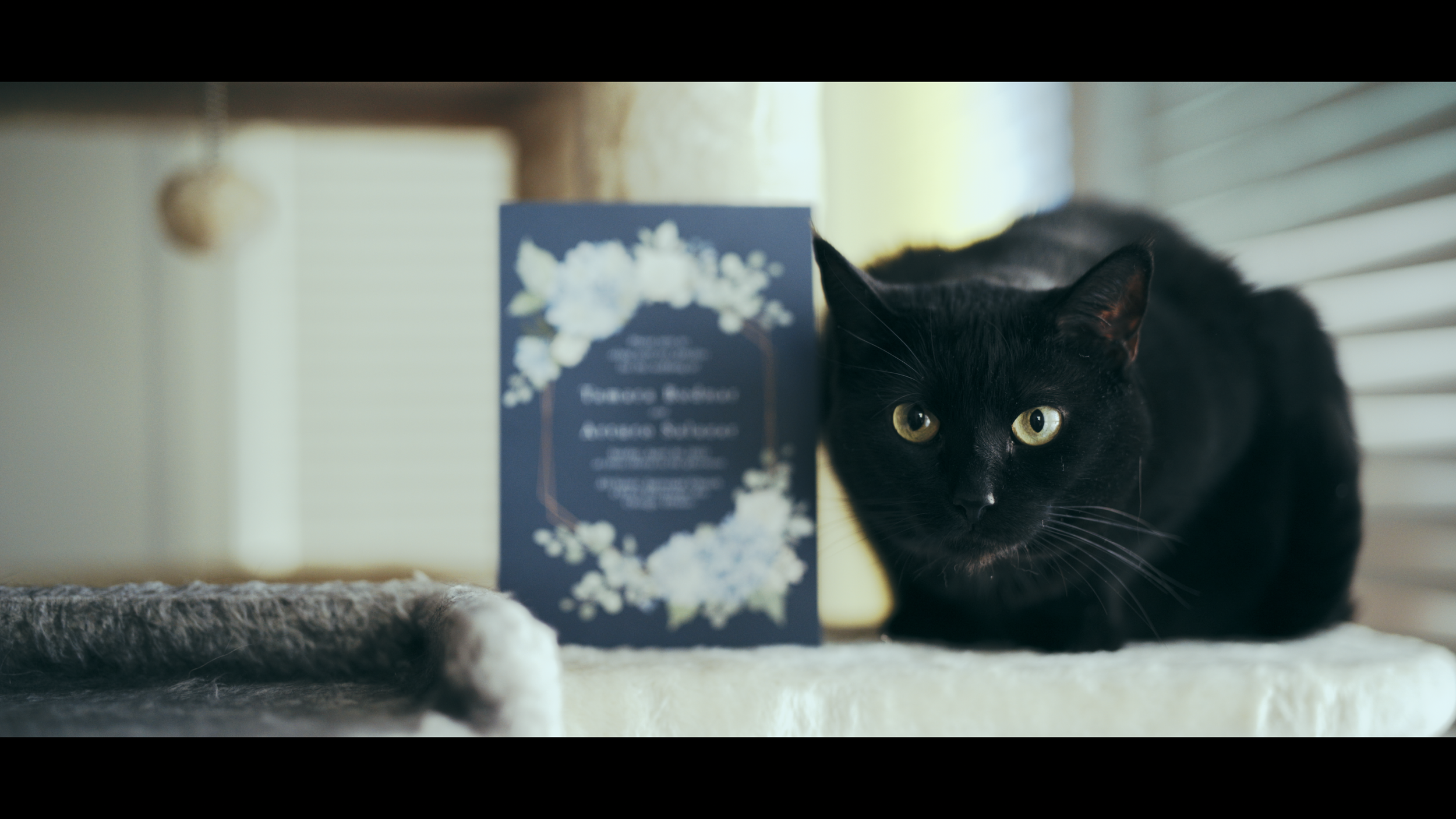 Screen Shot 2023-04-14 at 12.29.27 PM.png