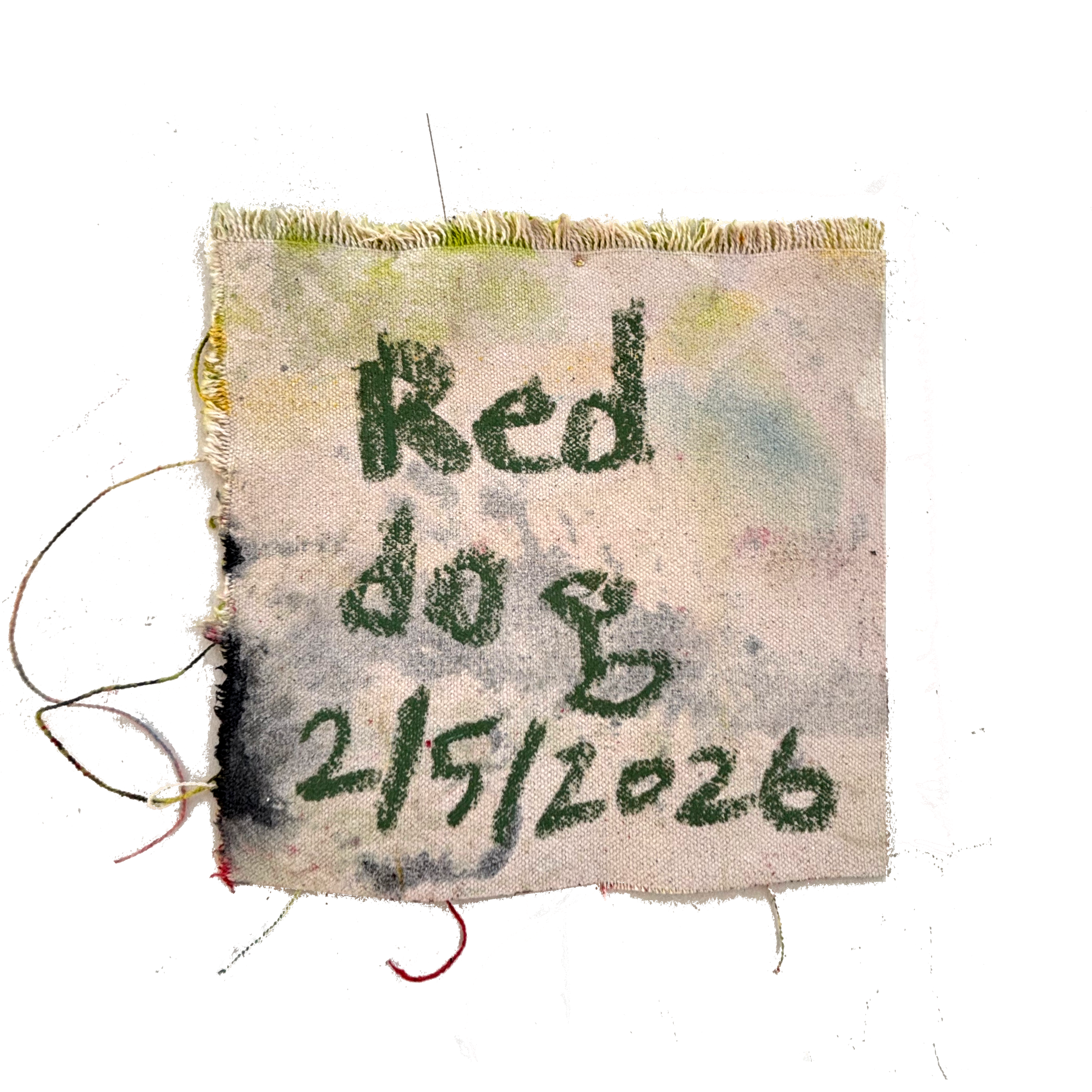 red dog painting back.png