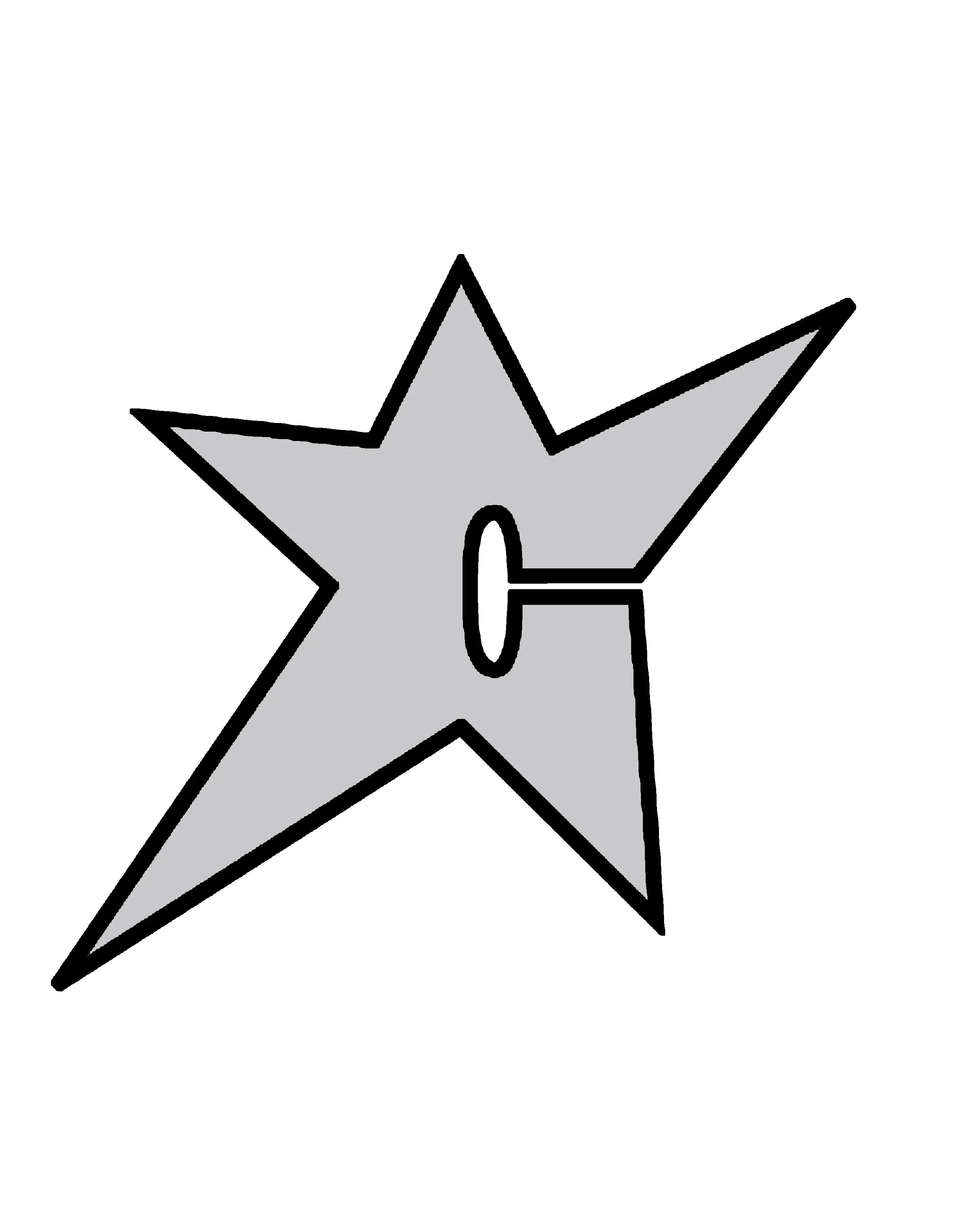 SILVER+C+STAR+LOGO.jpg