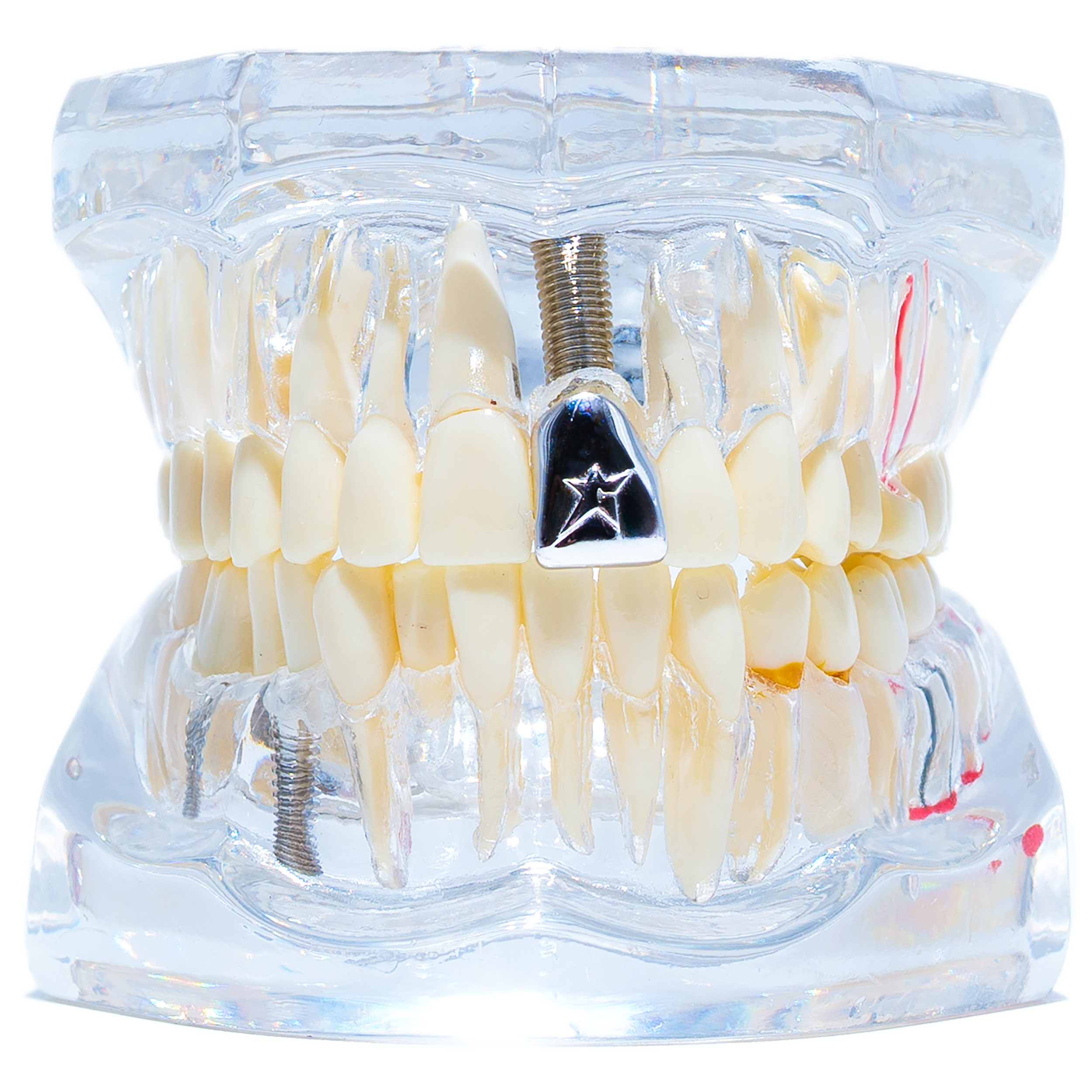 .925 Silver Tooth Paperweight