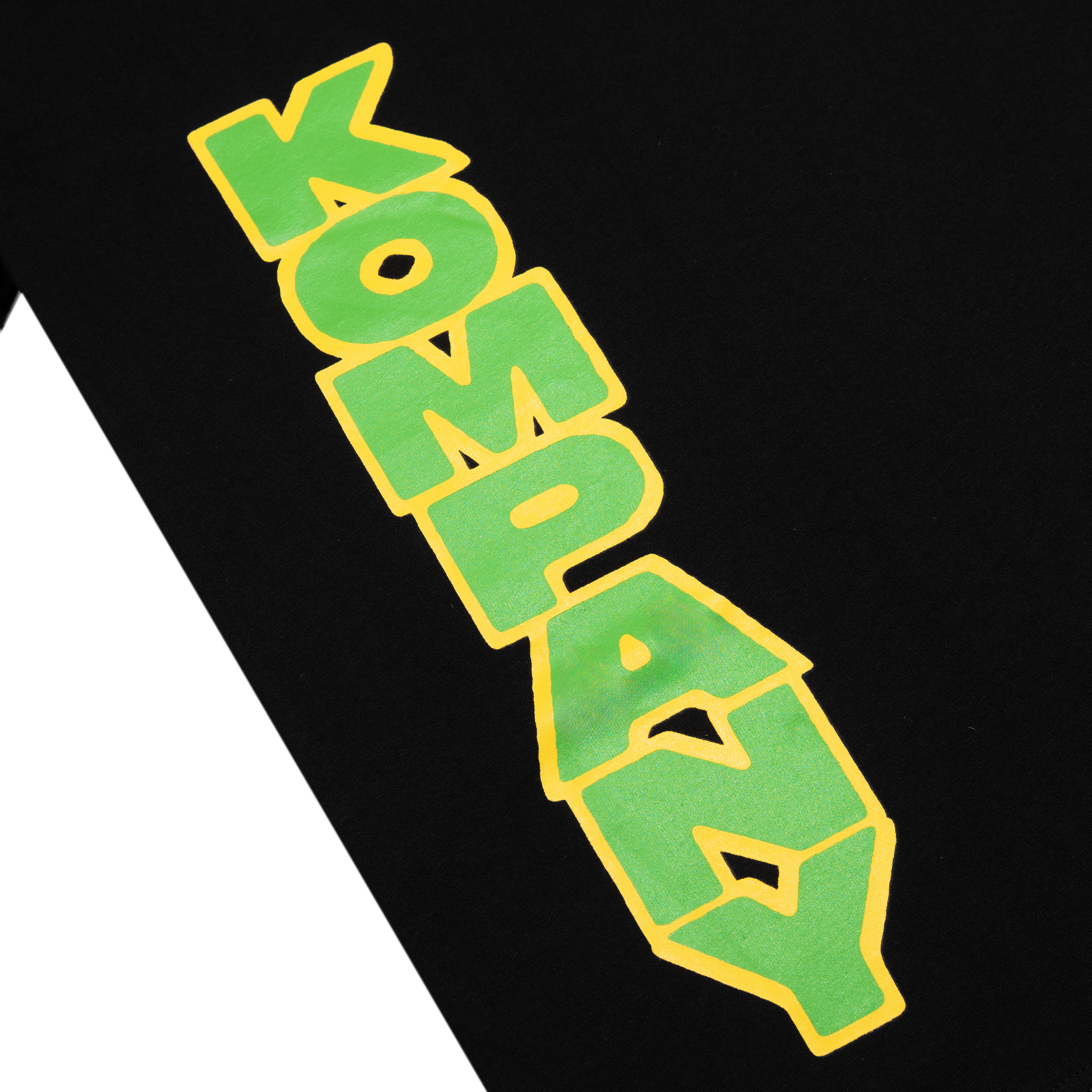 Lion Tee Black 4.png