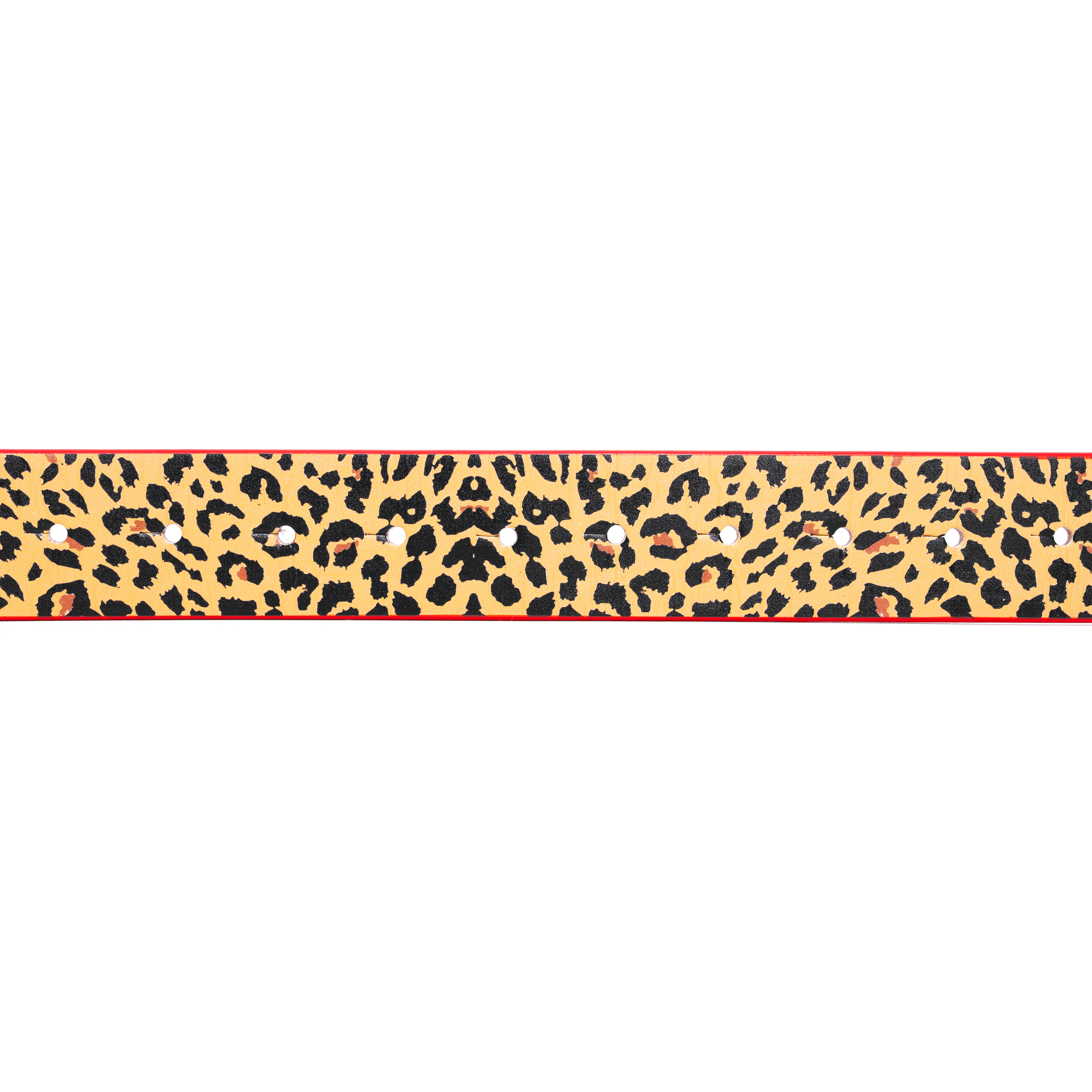 Belt Cheetah 6.png