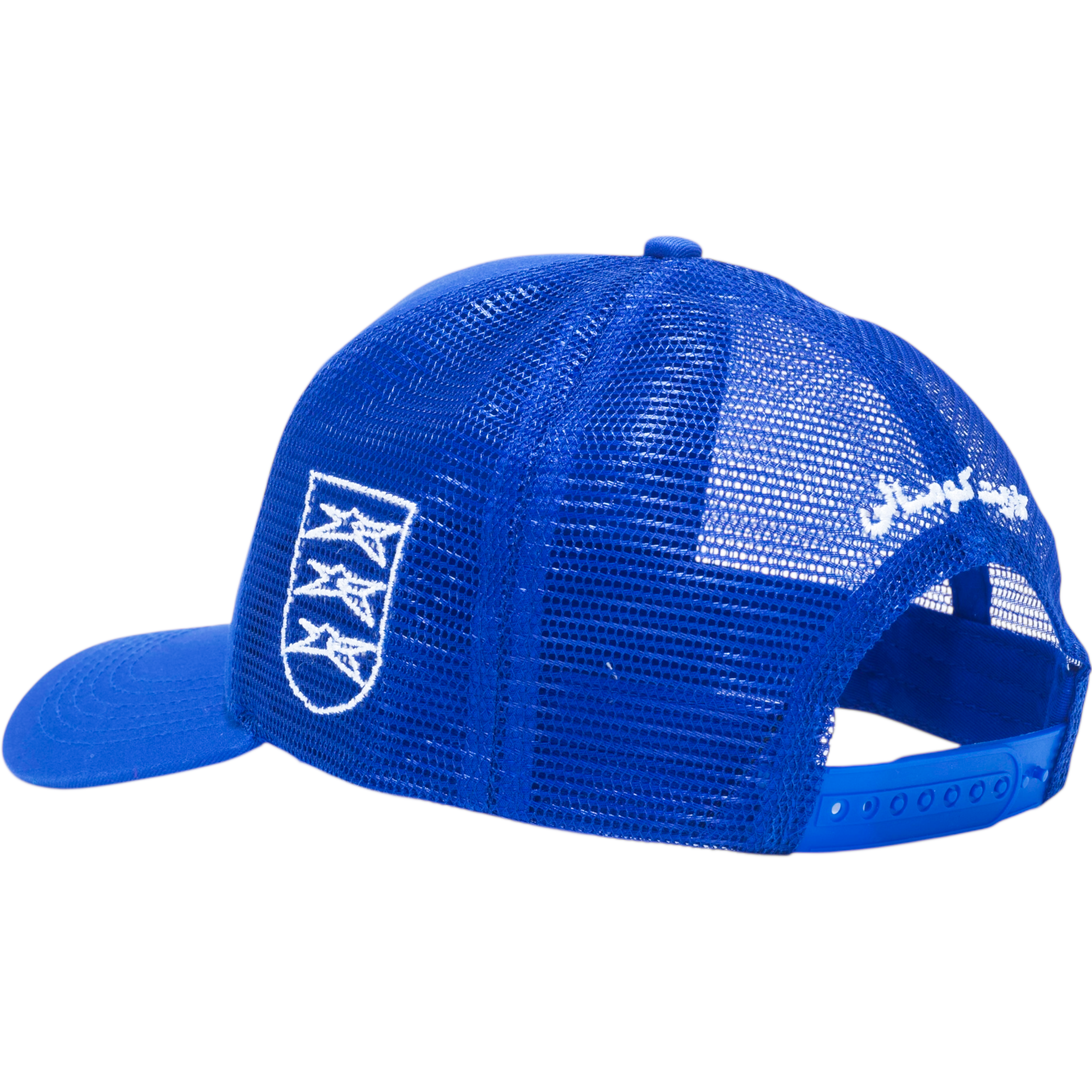 Bouncer Hat Blue 4.png