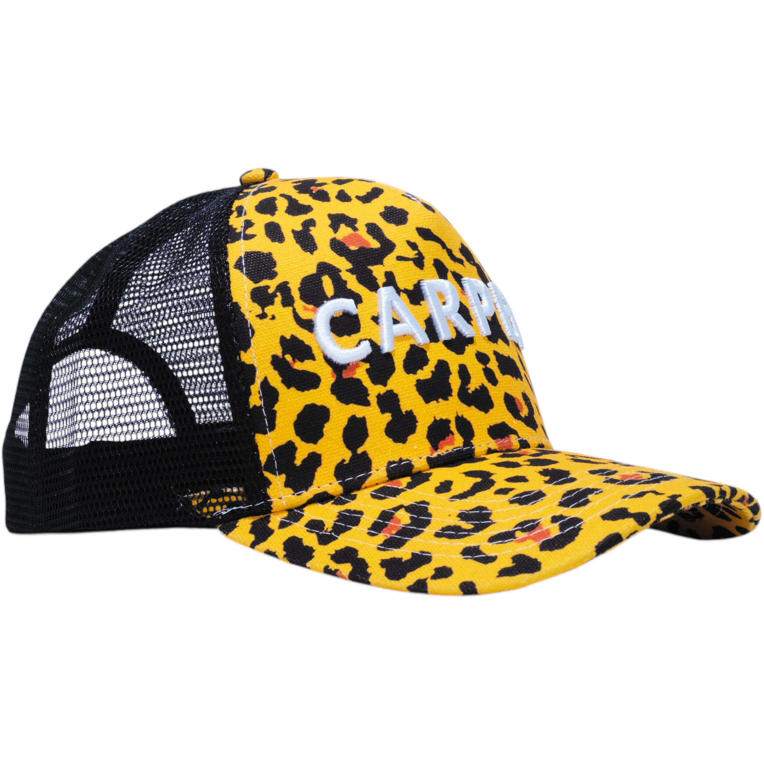 Cheetah Trucker 8.png