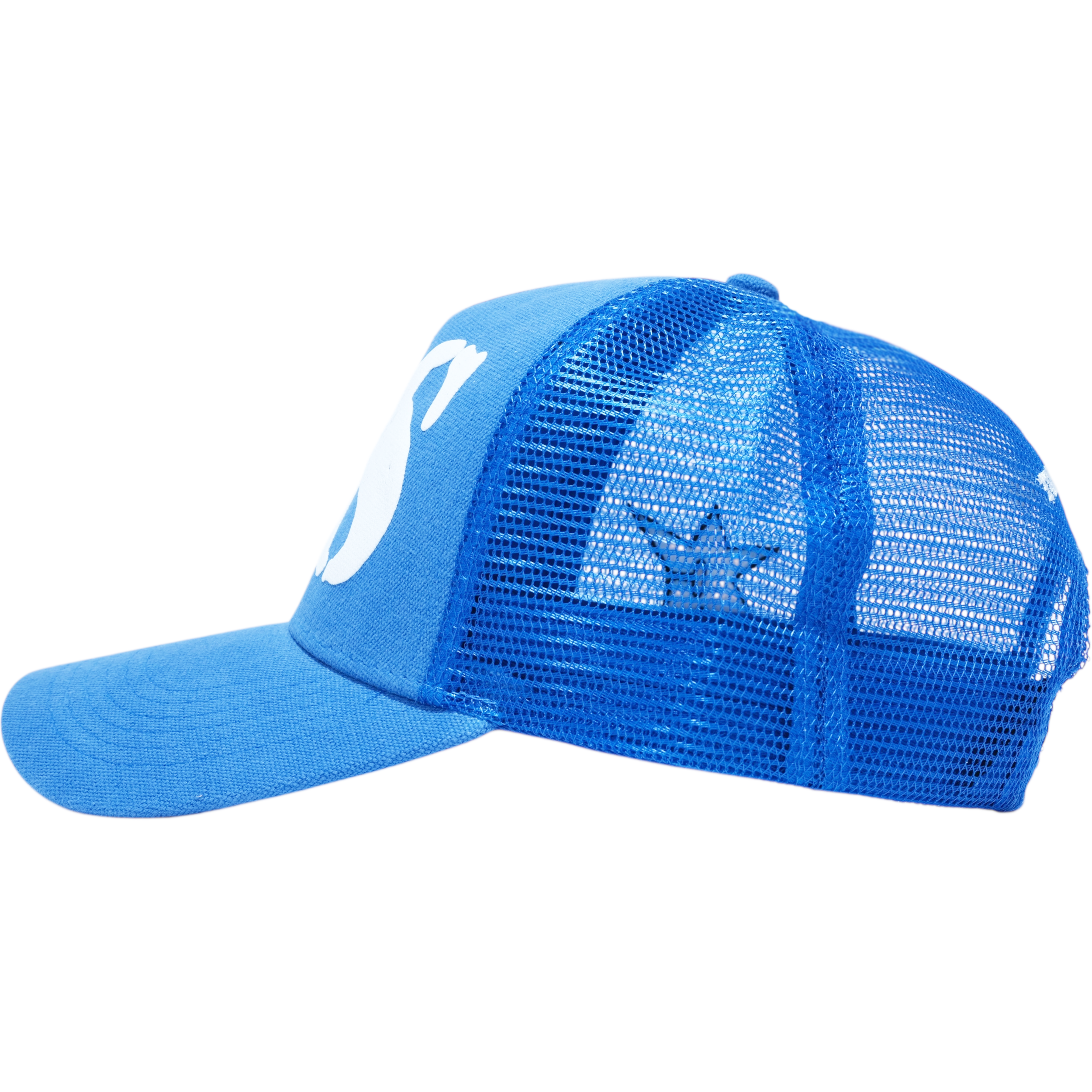 Initial Cap Blue 3.png