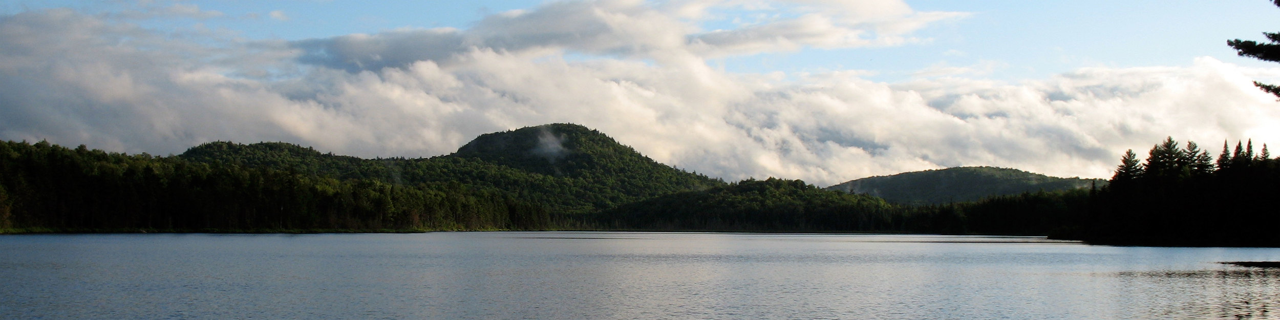 Reports — Adirondack Landowners Association