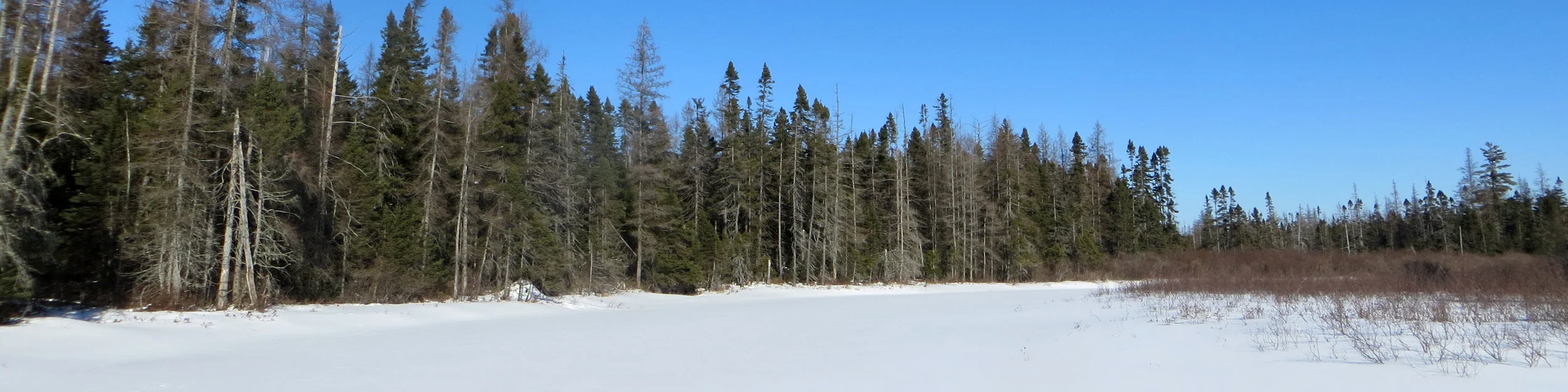 Past Meetings — Adirondack Landowners Association