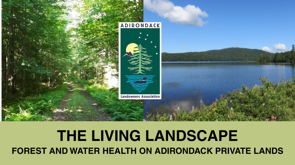 Living Landscape header rev 3 030326.png