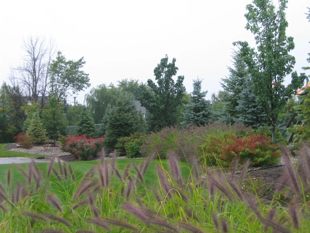 Patel- PLANTING.jpg