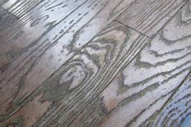 7 Tips For Proper Hardwood Floor Maintenance Valenti Flooring