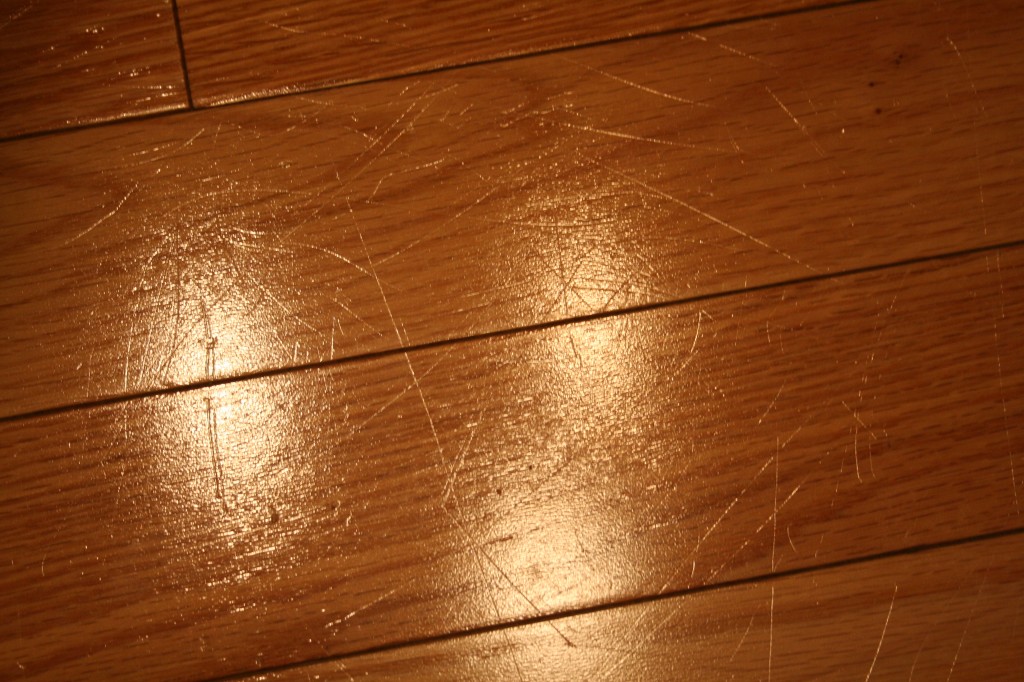 do dog paws scratch wood floors