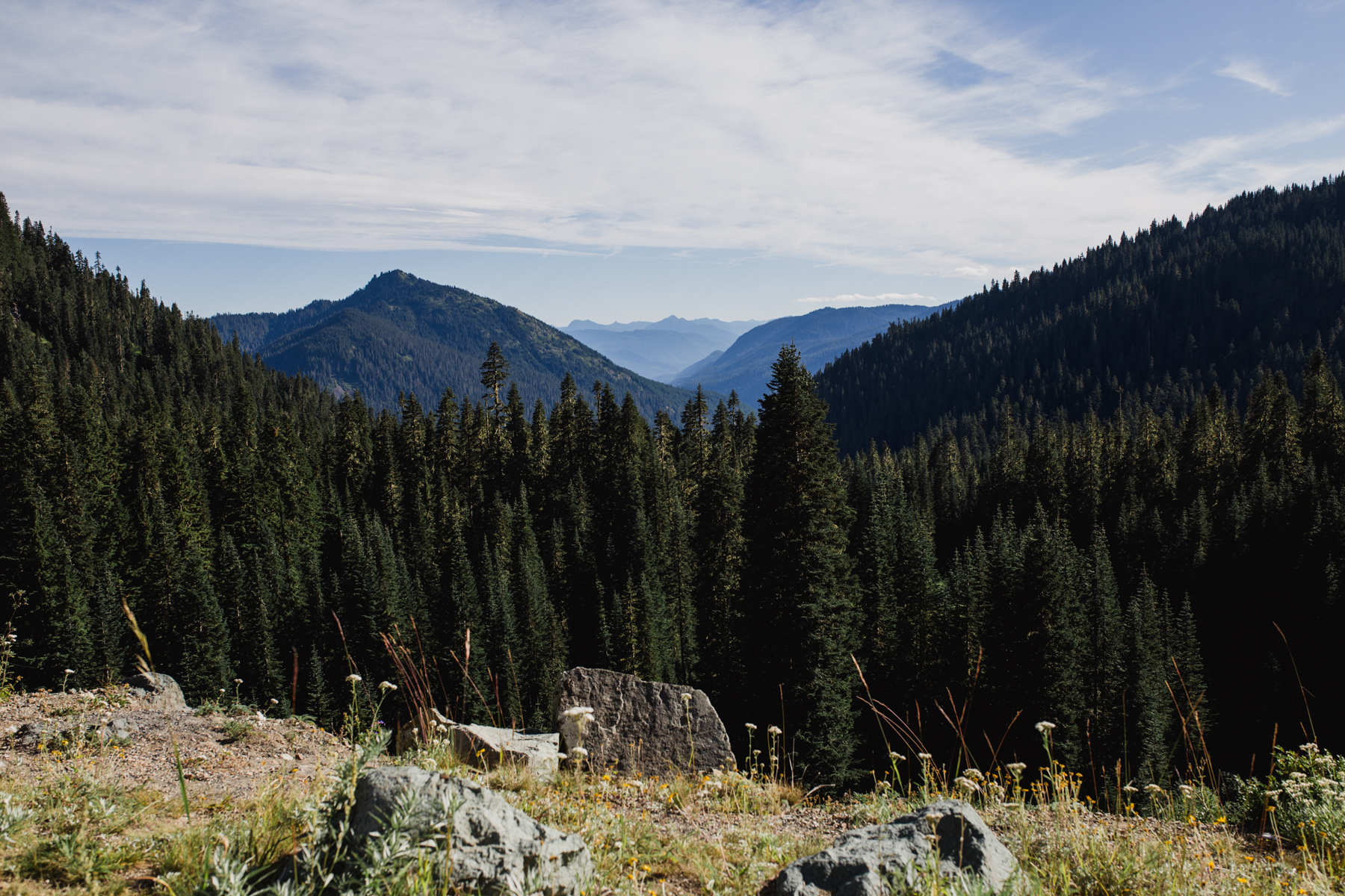 Olympia Senior Photographer Lake Tipsoo Mt. Rainier