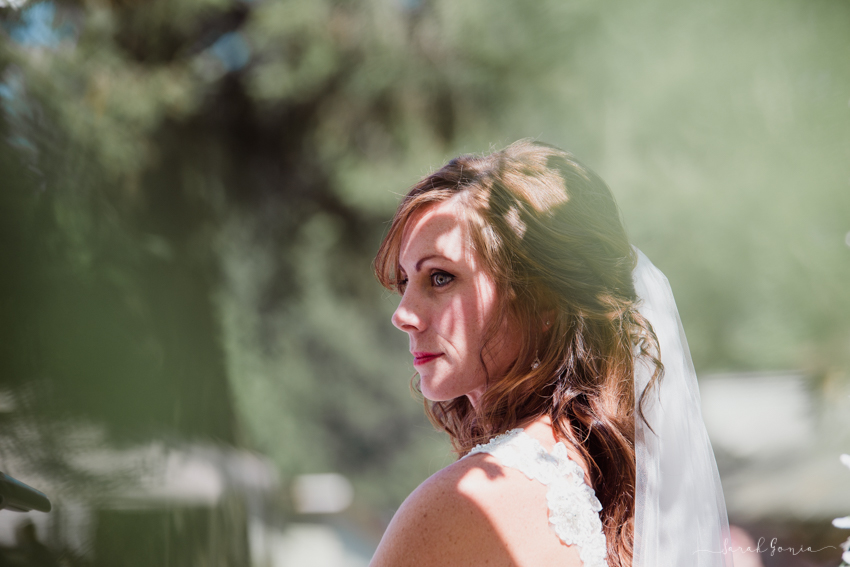 Olympia Wedding Photographer Colombus Park