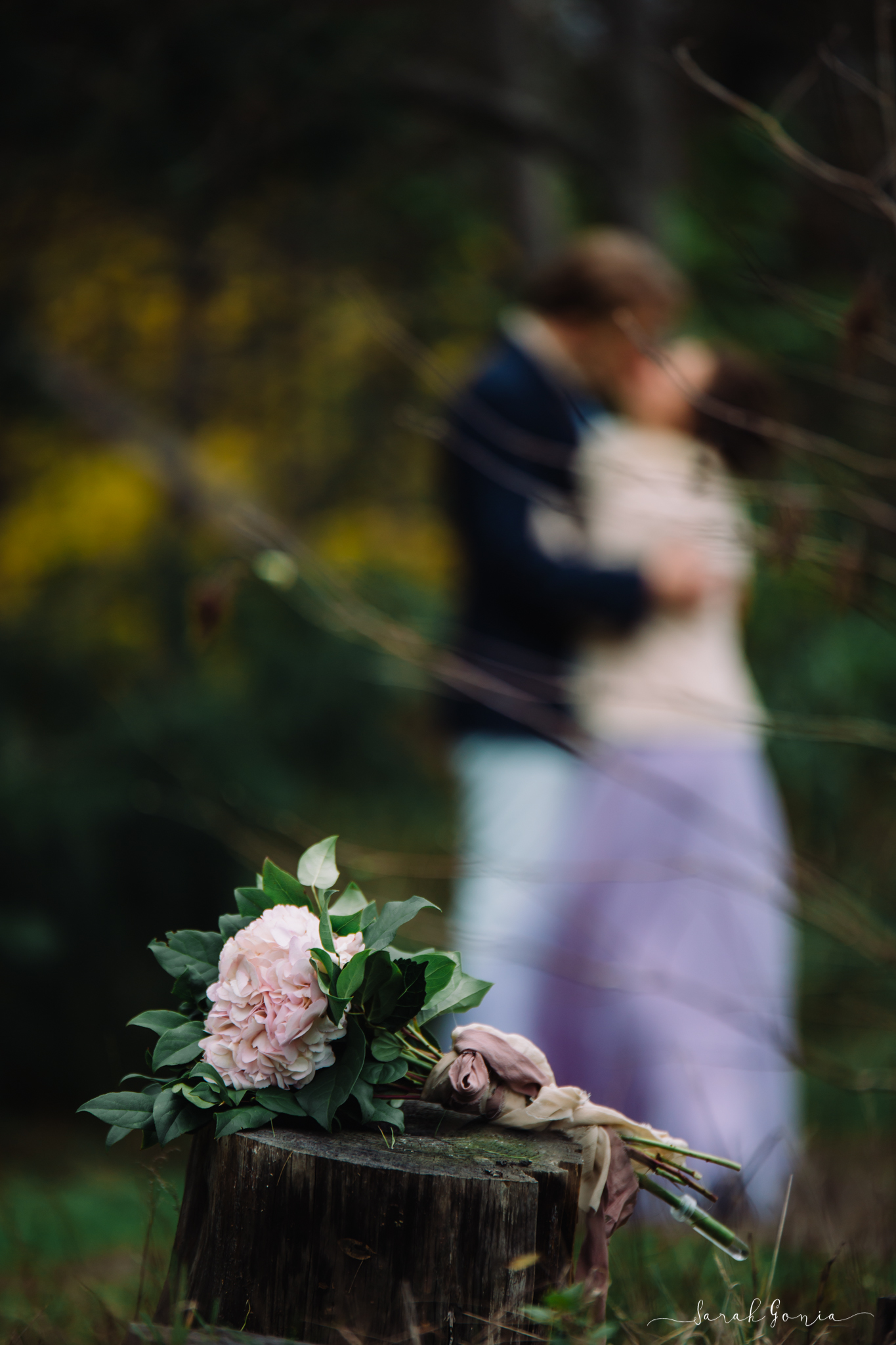 Seattle Wedding and Portrait Photographer