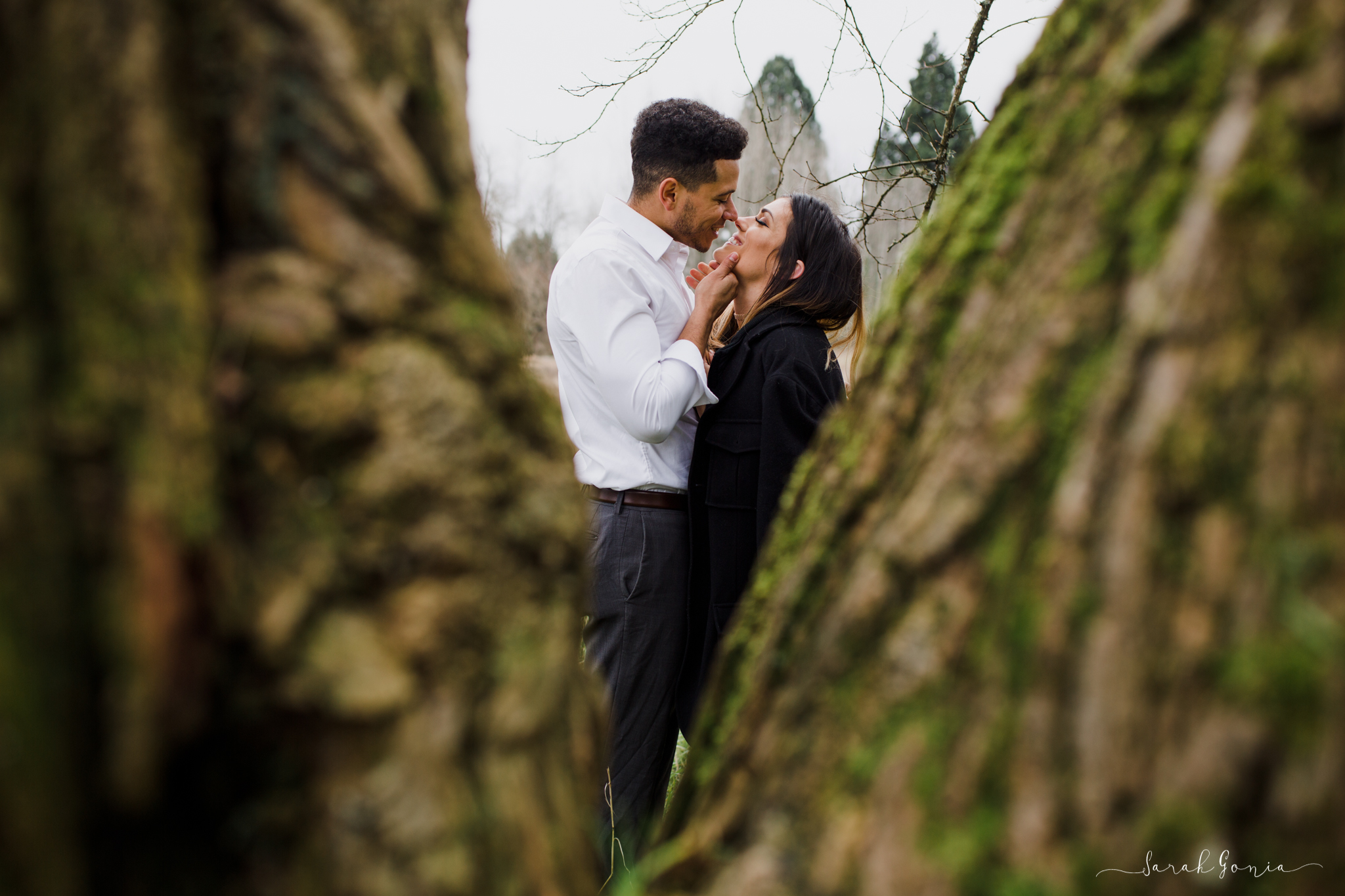 Olympia Photographer Engagement, Love Stories and Weddings Trees