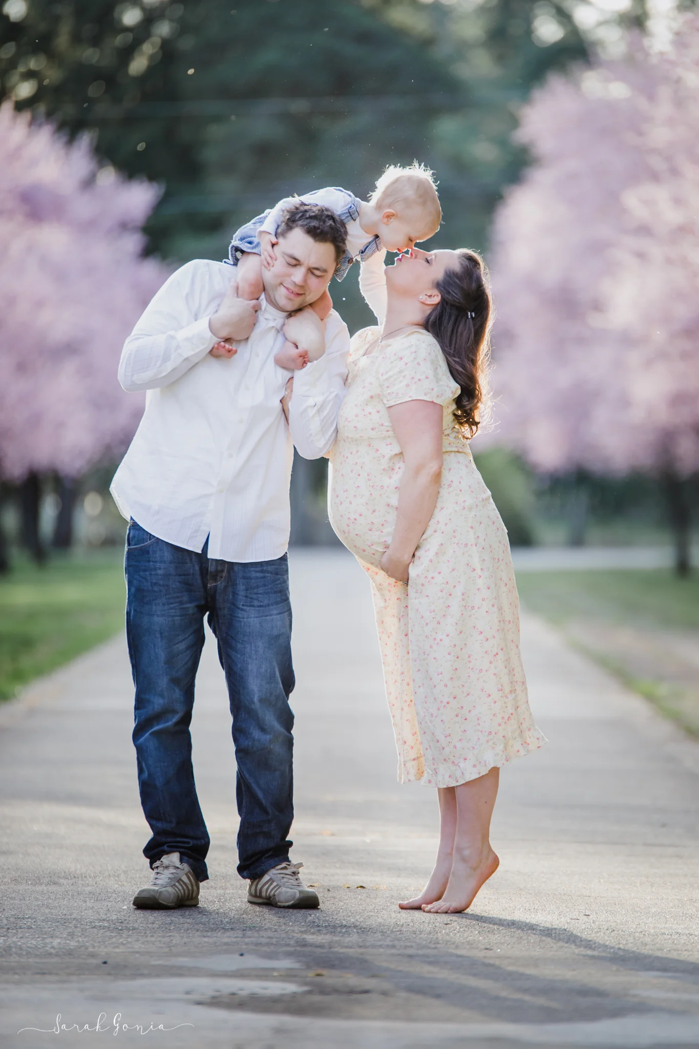 Cherry Blossom Family Portrait | Lacey Maternity Photographer