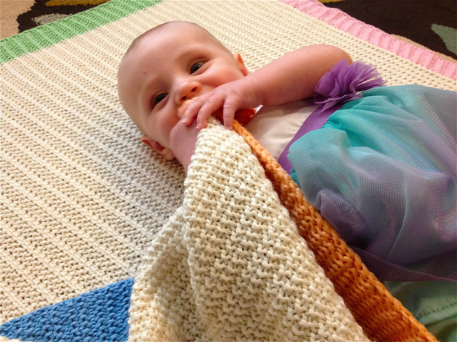 Farrowing House Baby Blanket