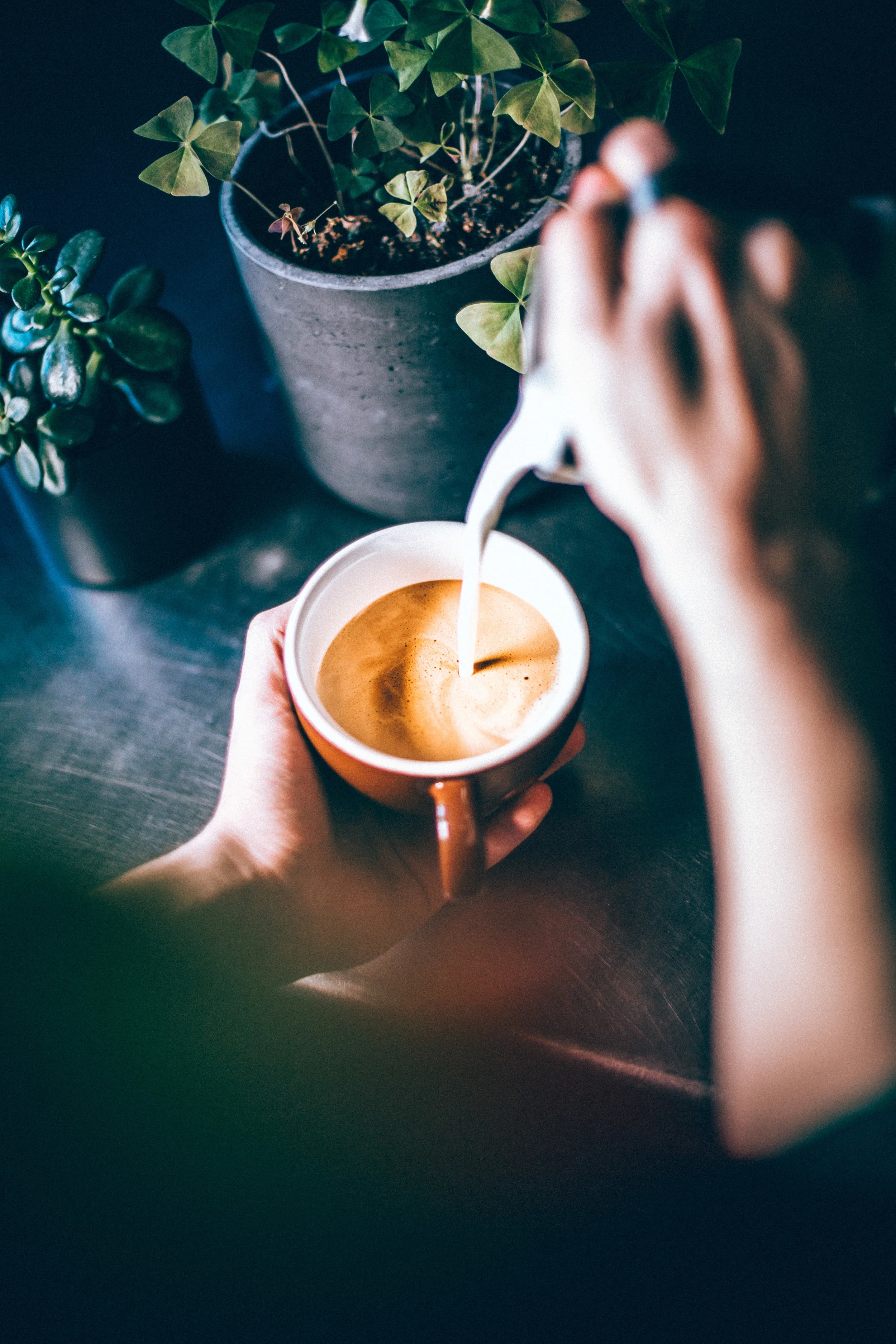 BIG SHOULDERS COFFEE-175.jpg