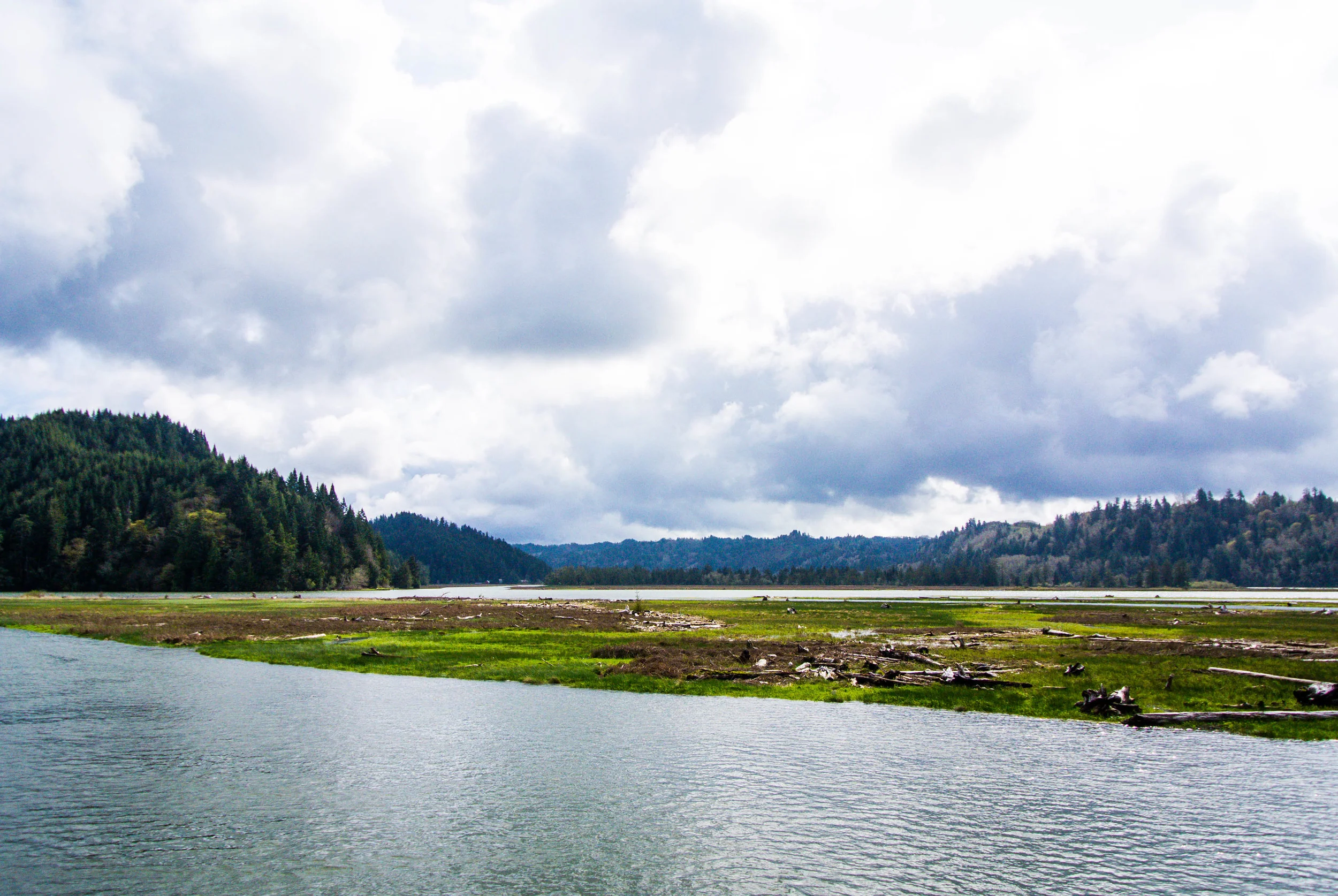DSC_2523.jpg