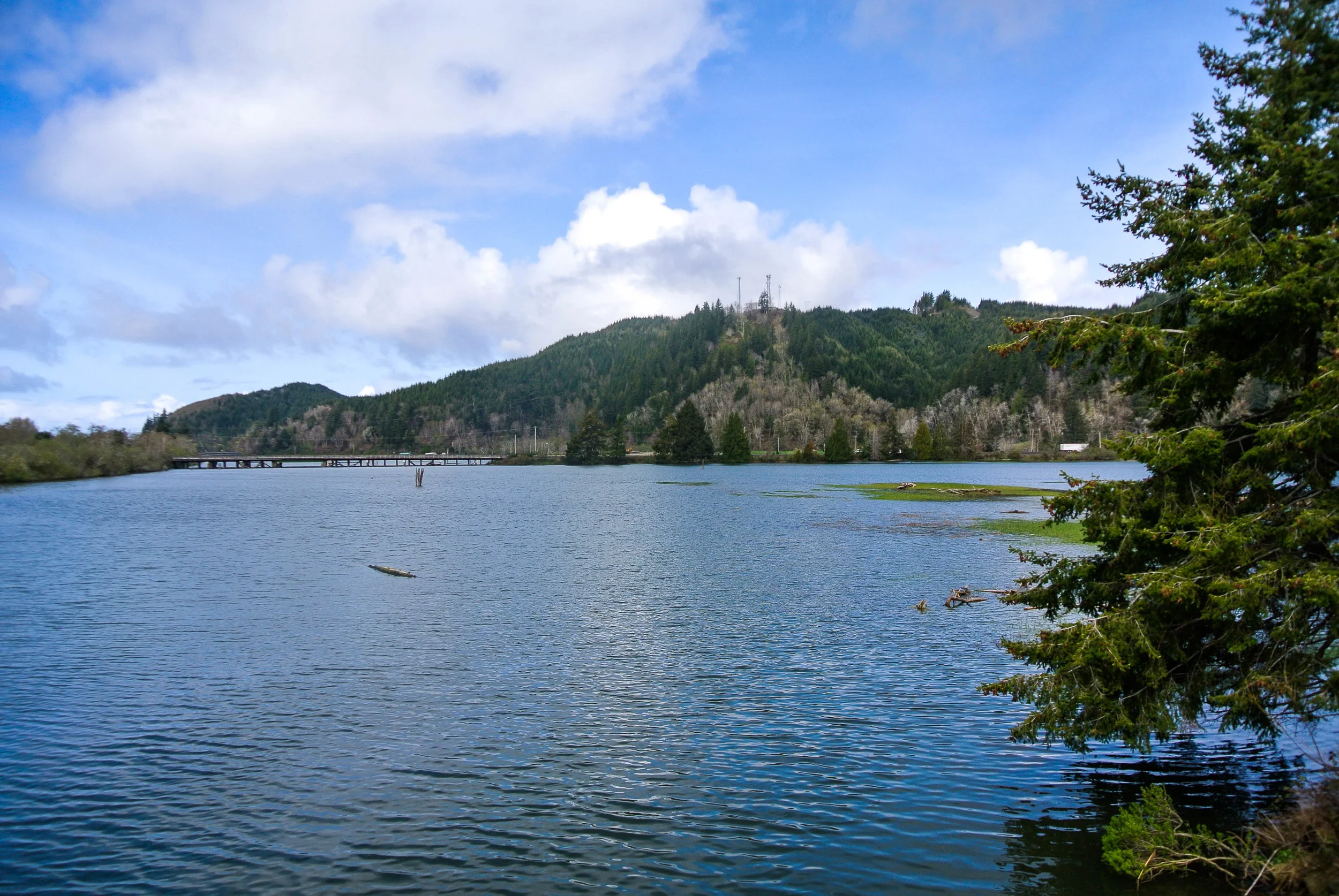DSC_2600.jpg