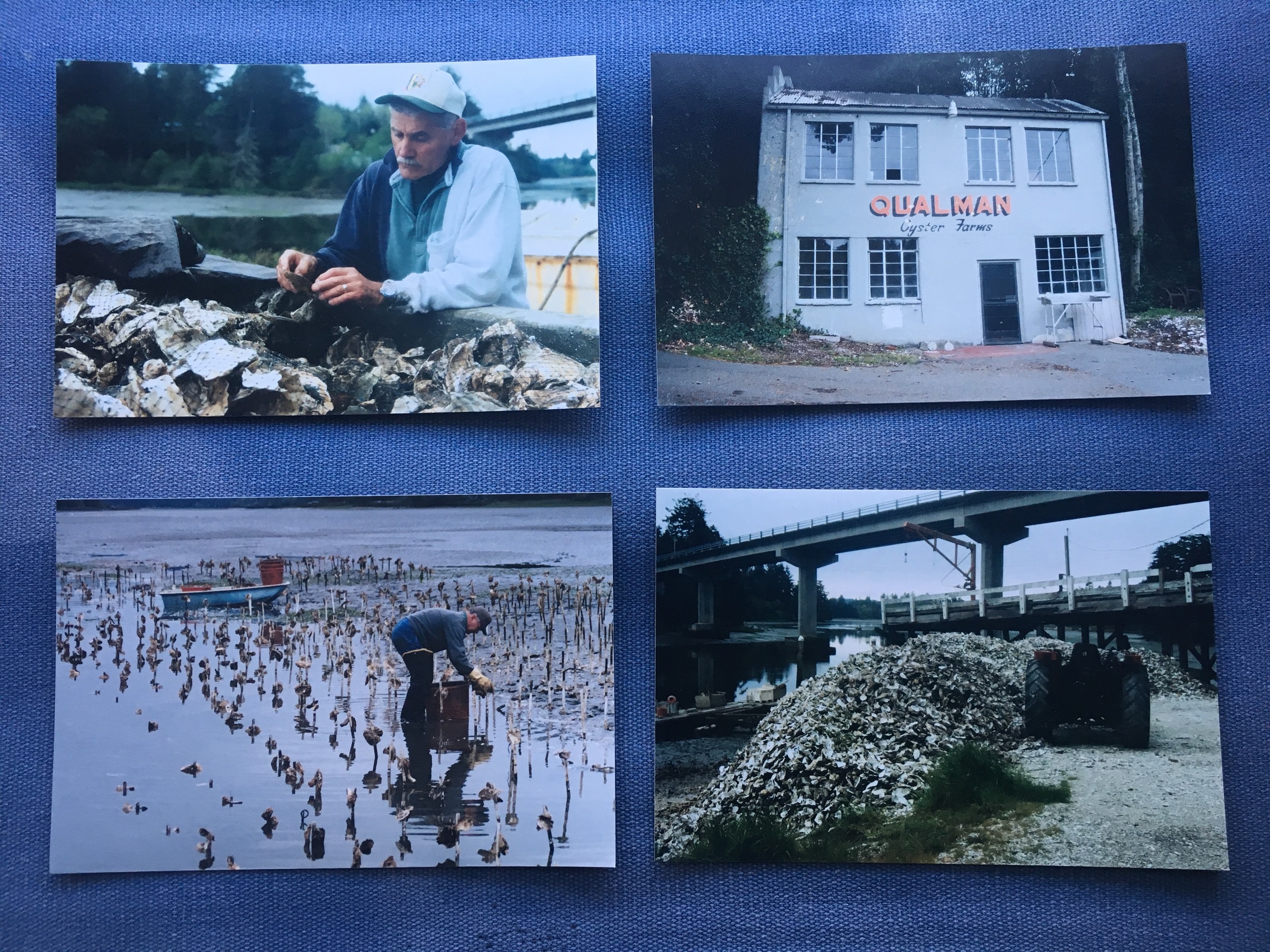 Qualman Oysters over the years 